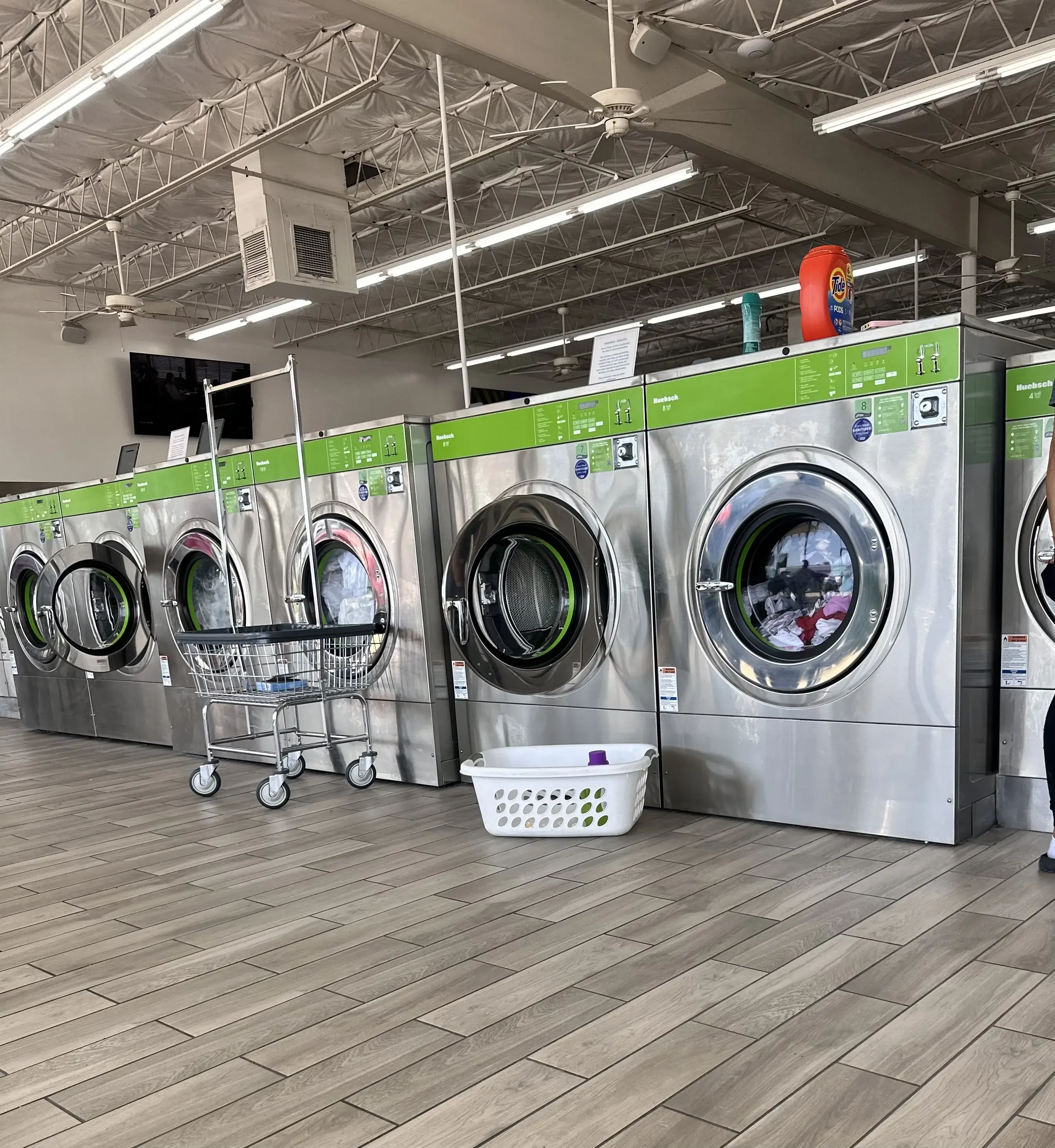 Loyal Laundry Camp Bowie - Image 2