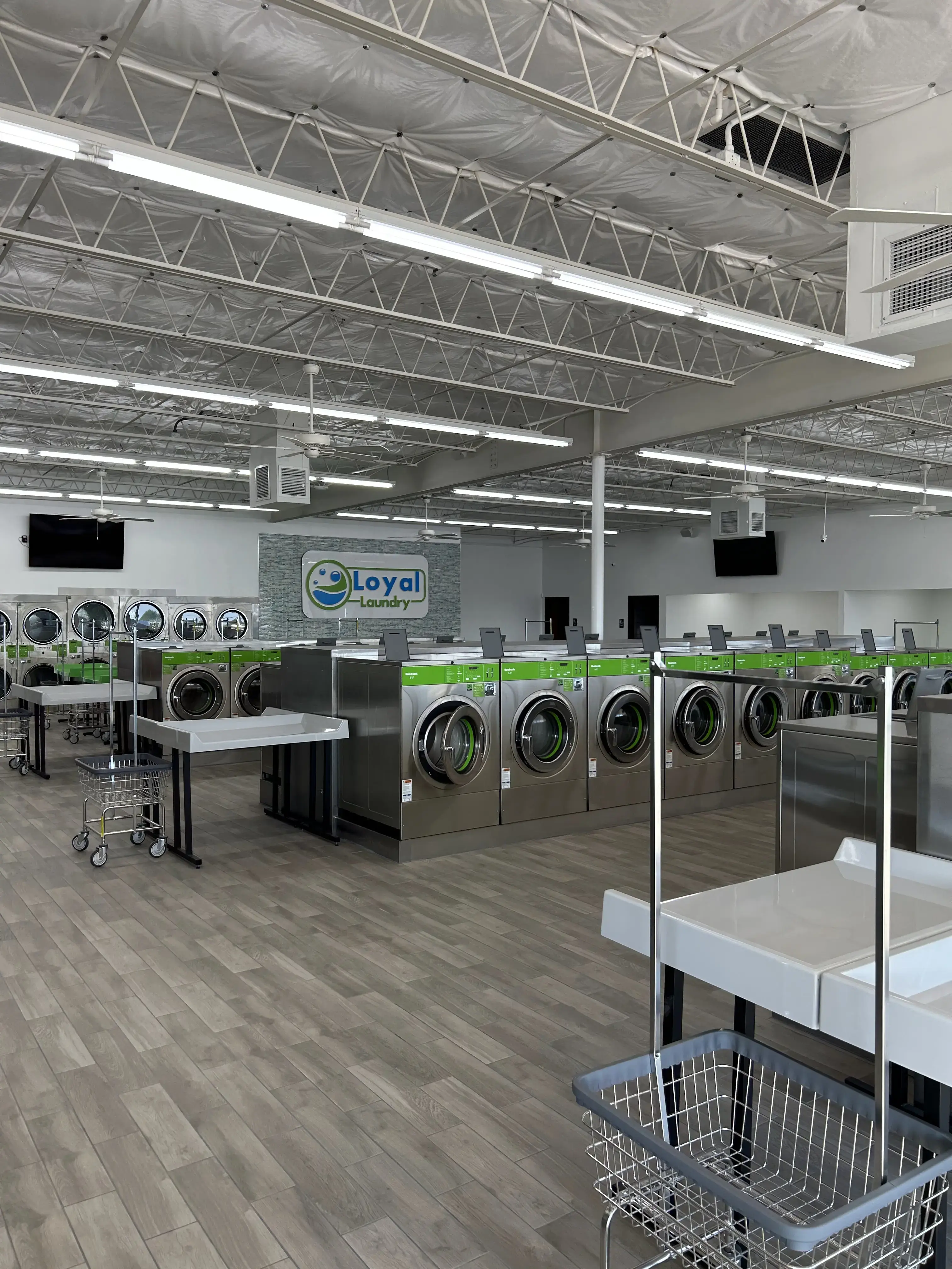 Loyal Laundry Camp Bowie thumbnail 3