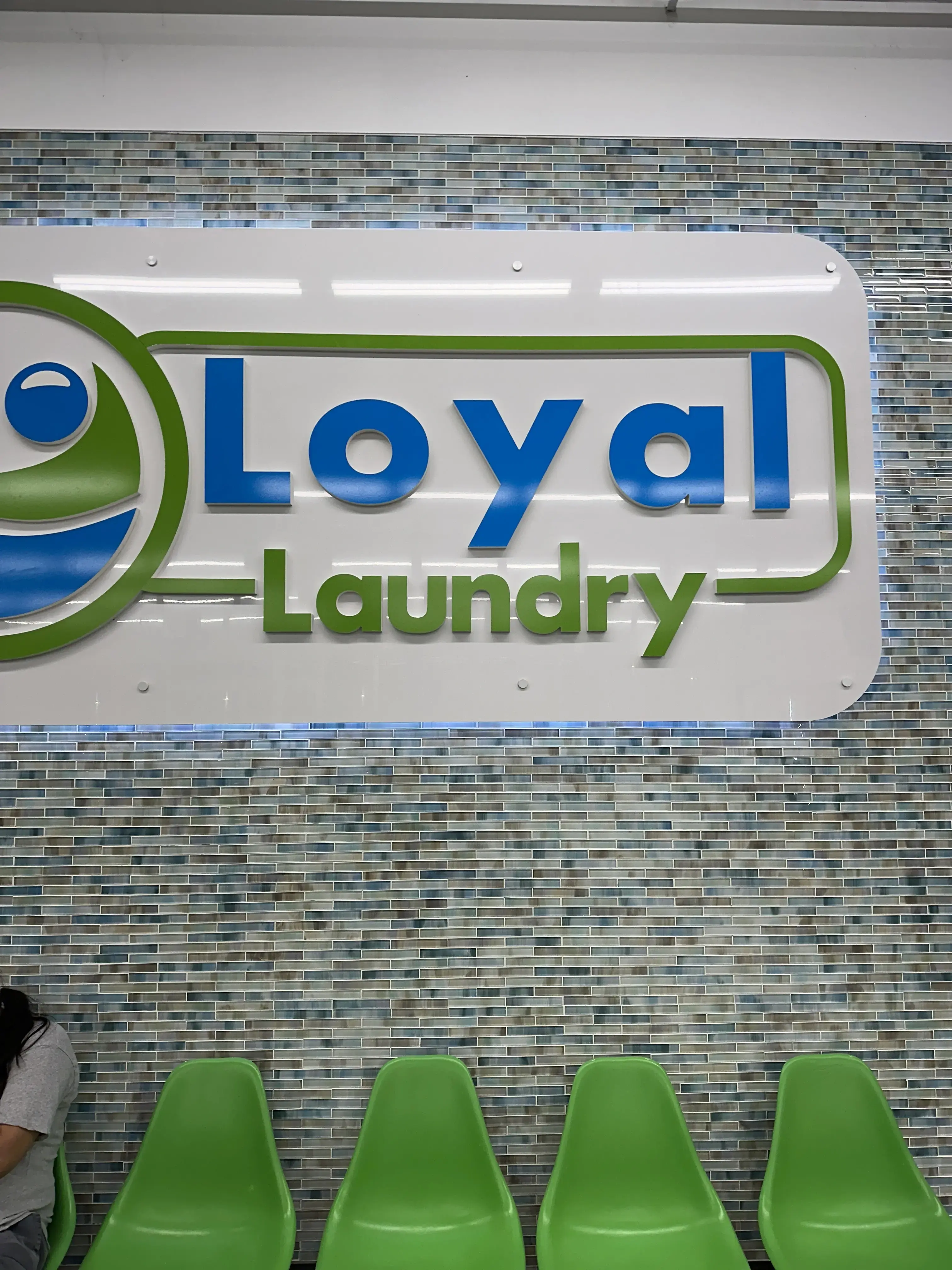 Loyal Laundry Camp Bowie thumbnail 10