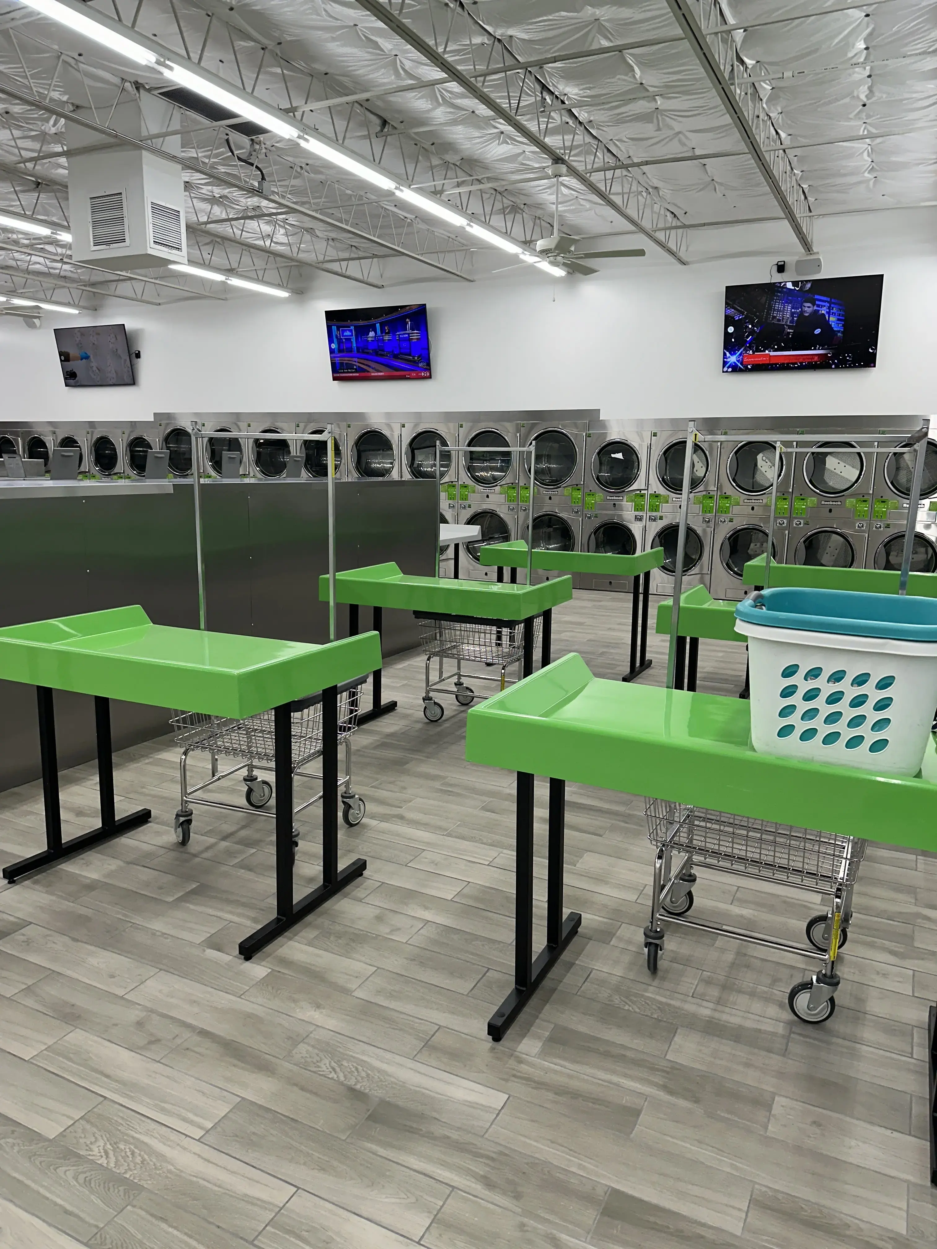 Loyal Laundry Camp Bowie thumbnail 15