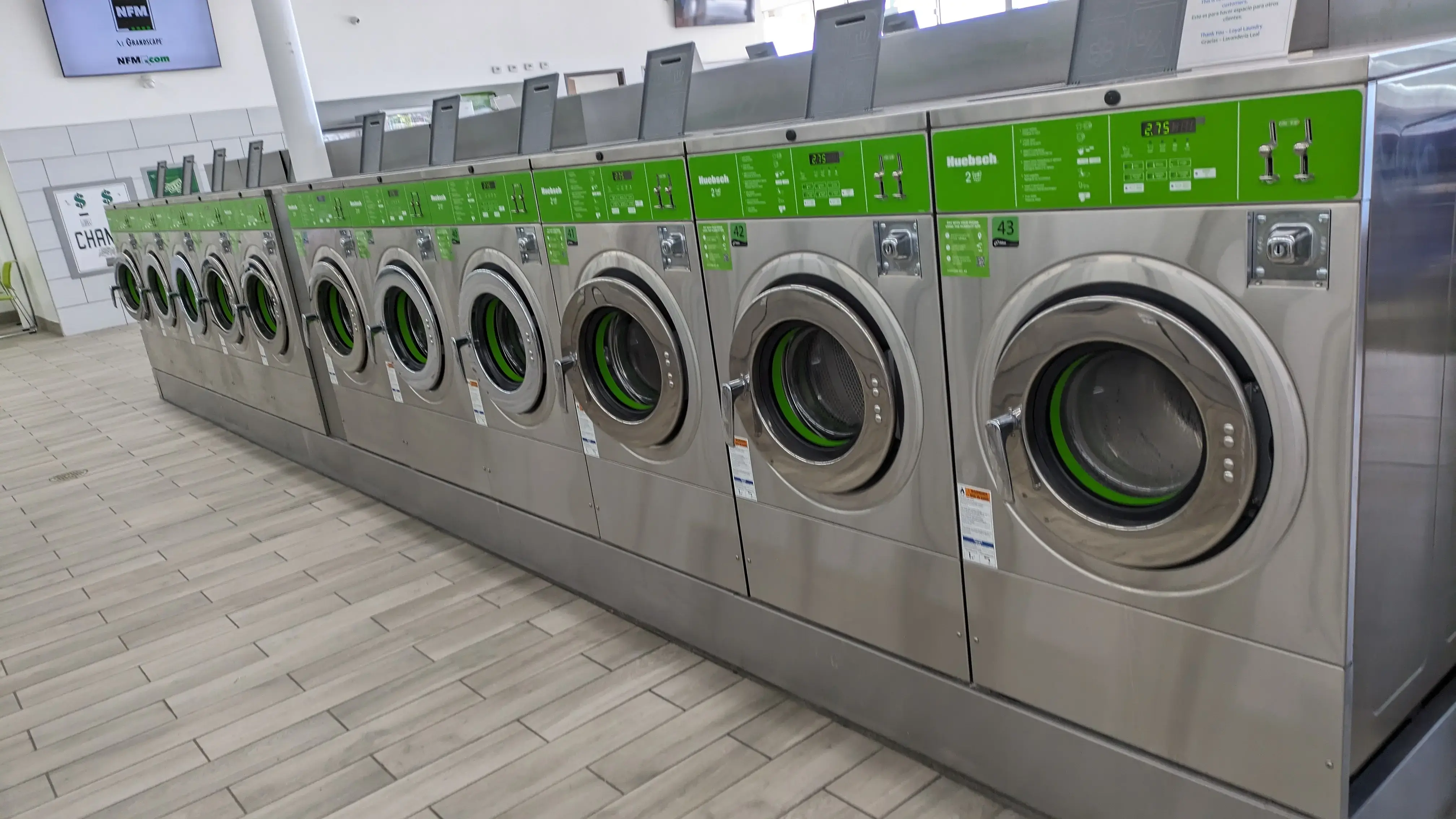 Loyal Laundry Camp Bowie thumbnail 8