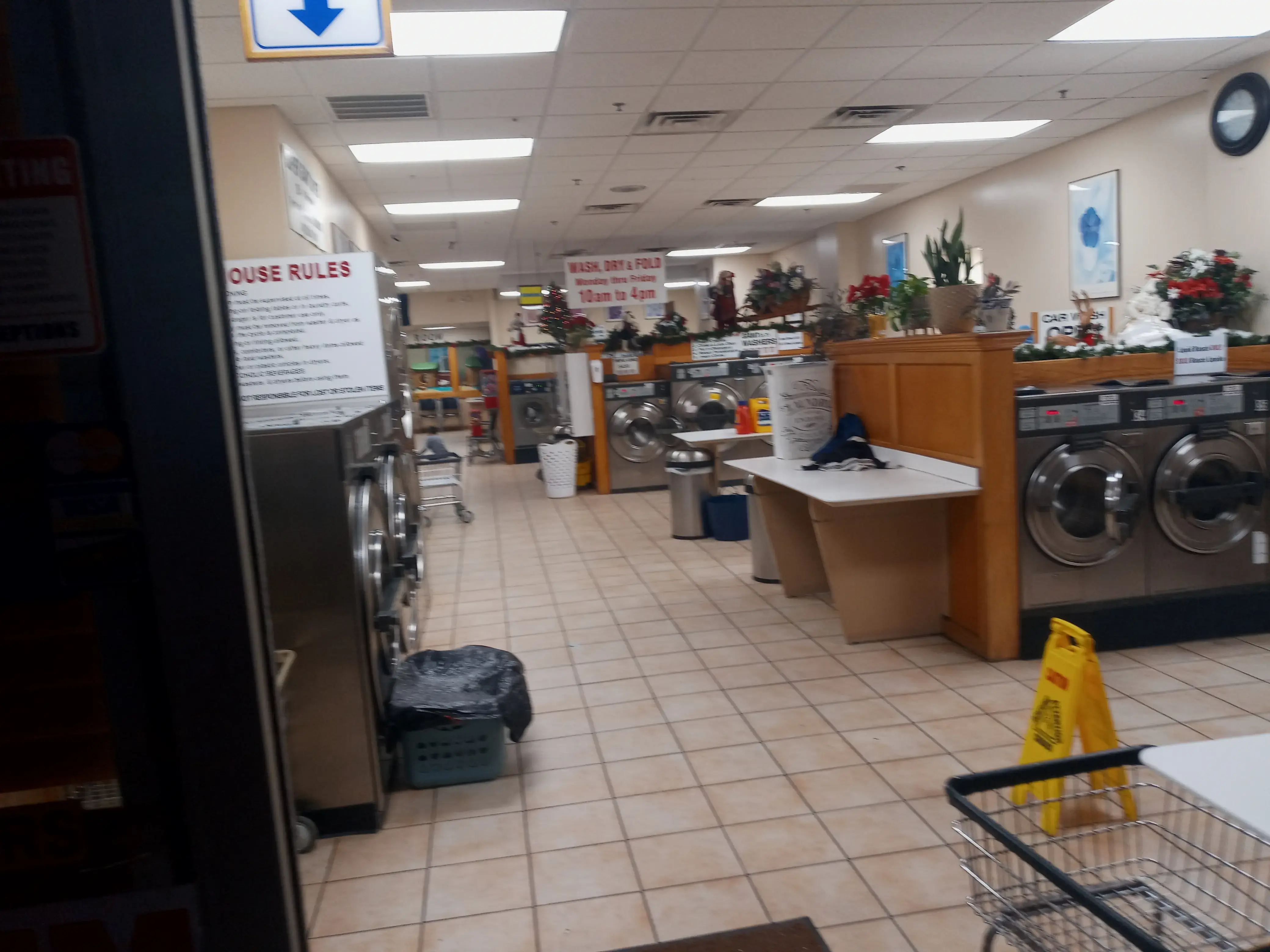 LUCA'S LAUNDRY - Image 12