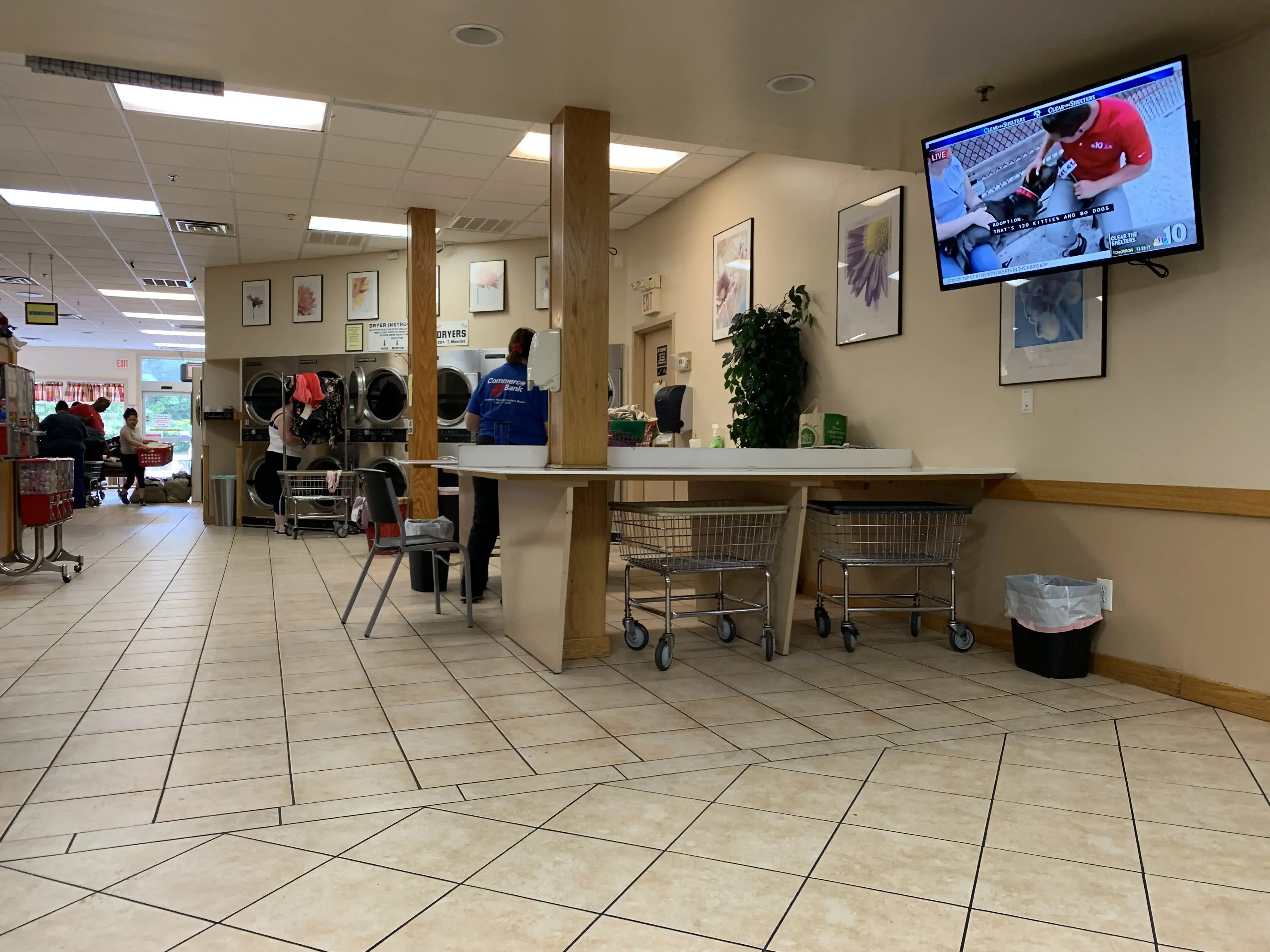 LUCA'S LAUNDRY - Image 4