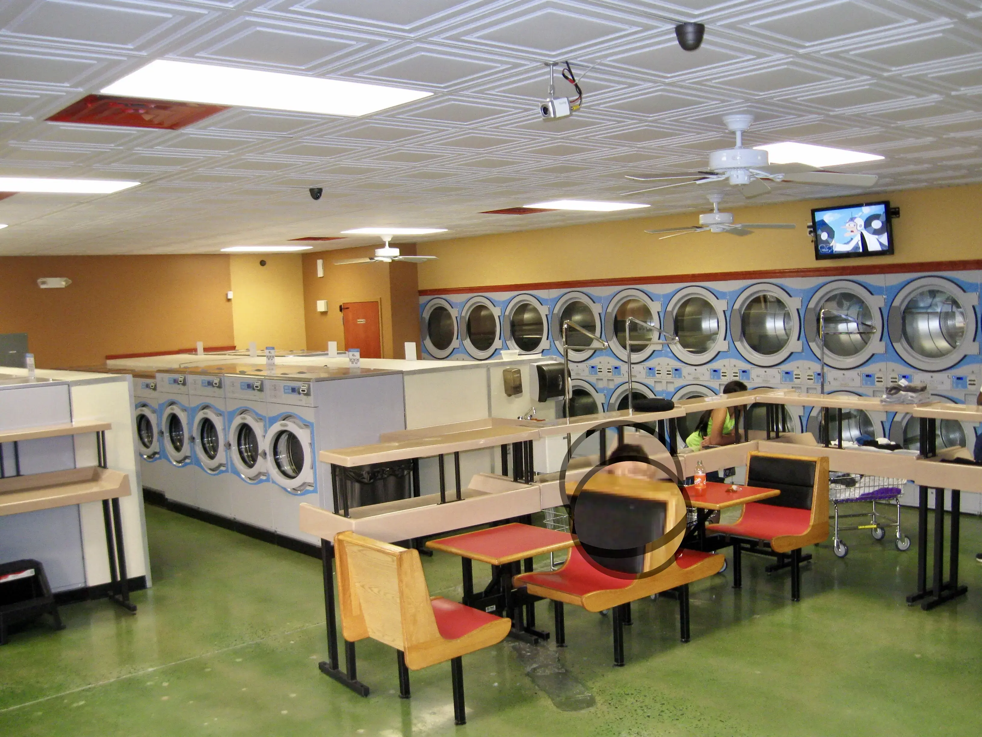 LUCA'S LAUNDRY thumbnail 4
