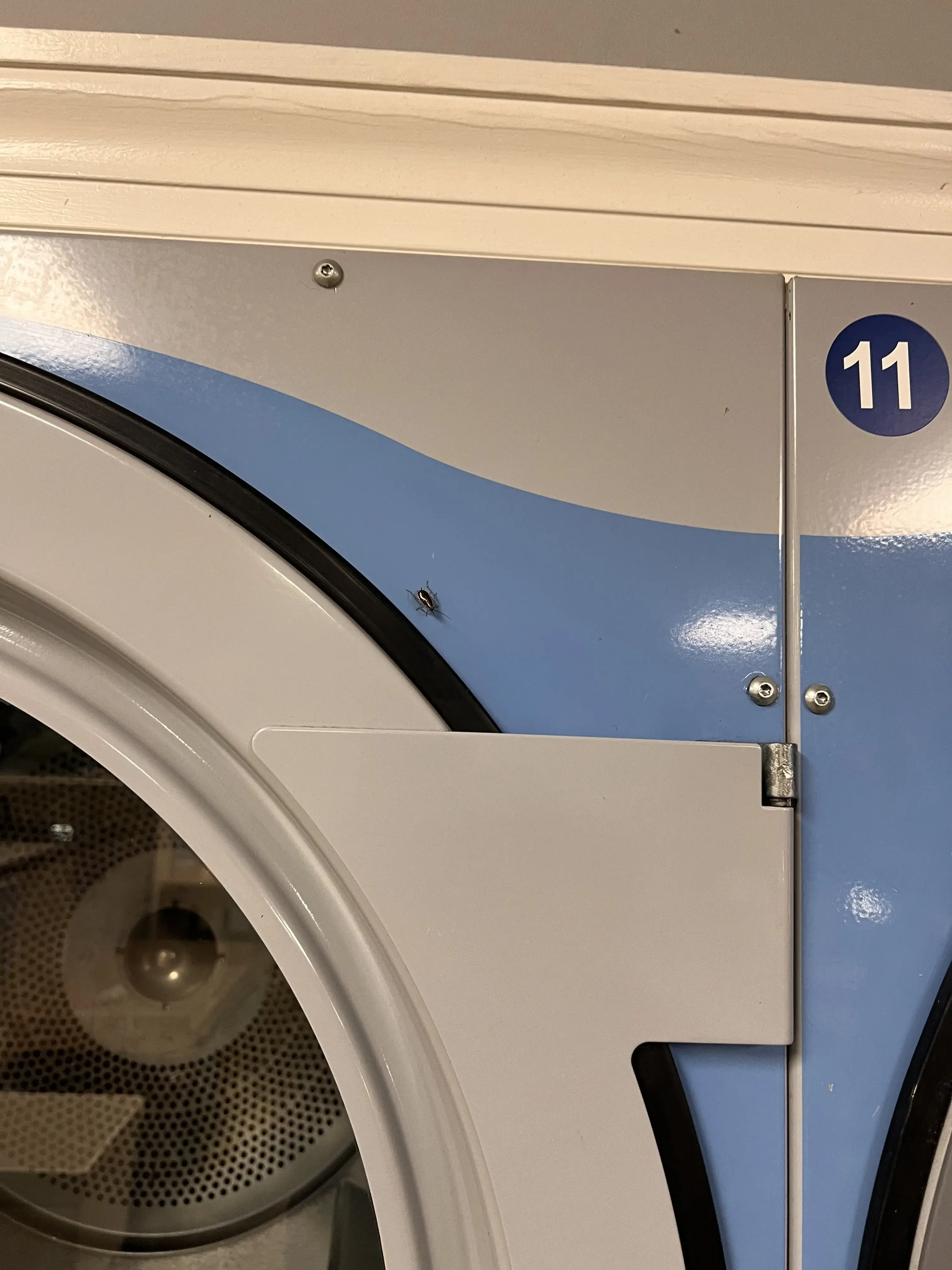 LUCA'S LAUNDRY thumbnail 6