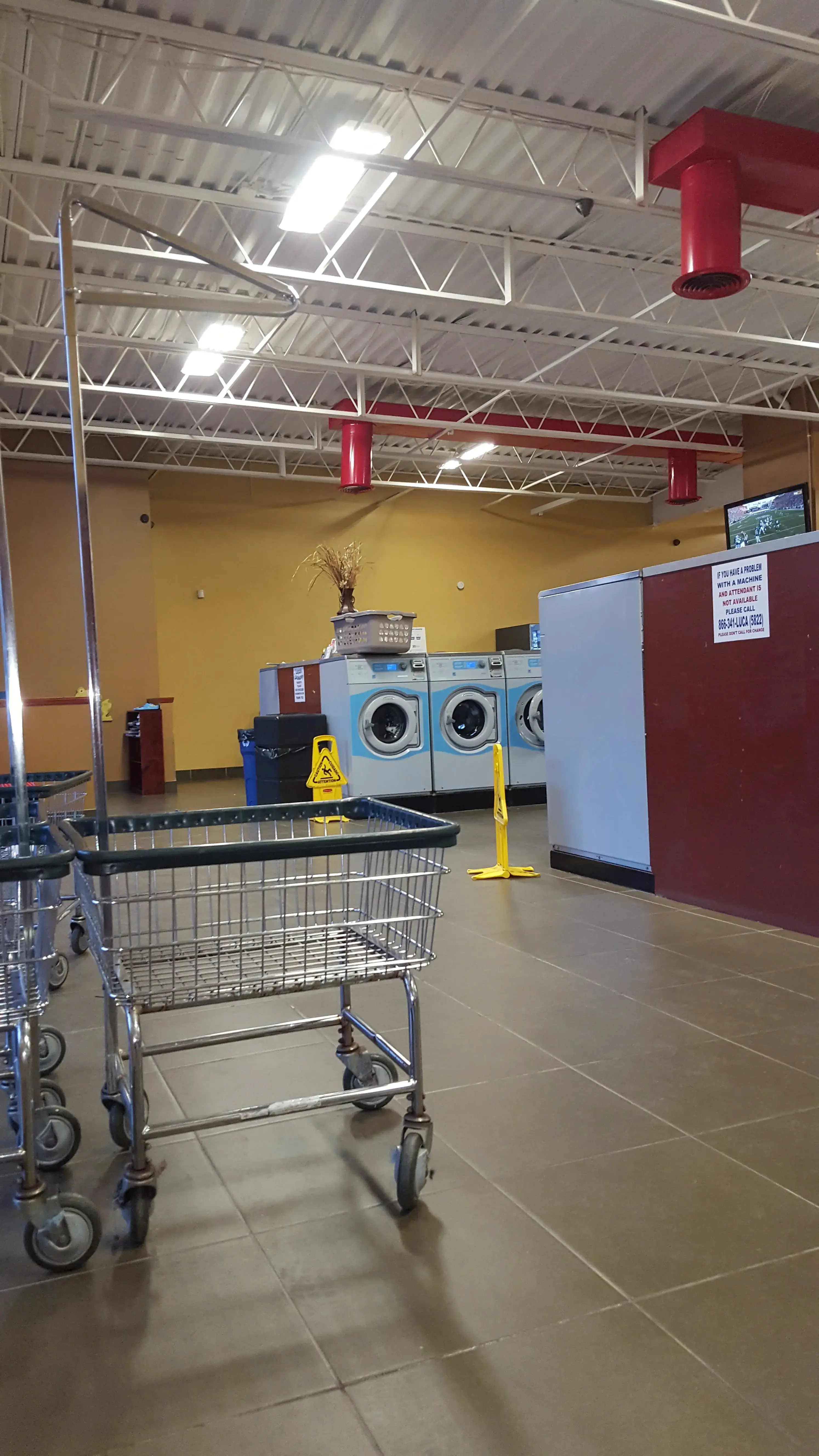 LUCA'S LAUNDRY thumbnail 3