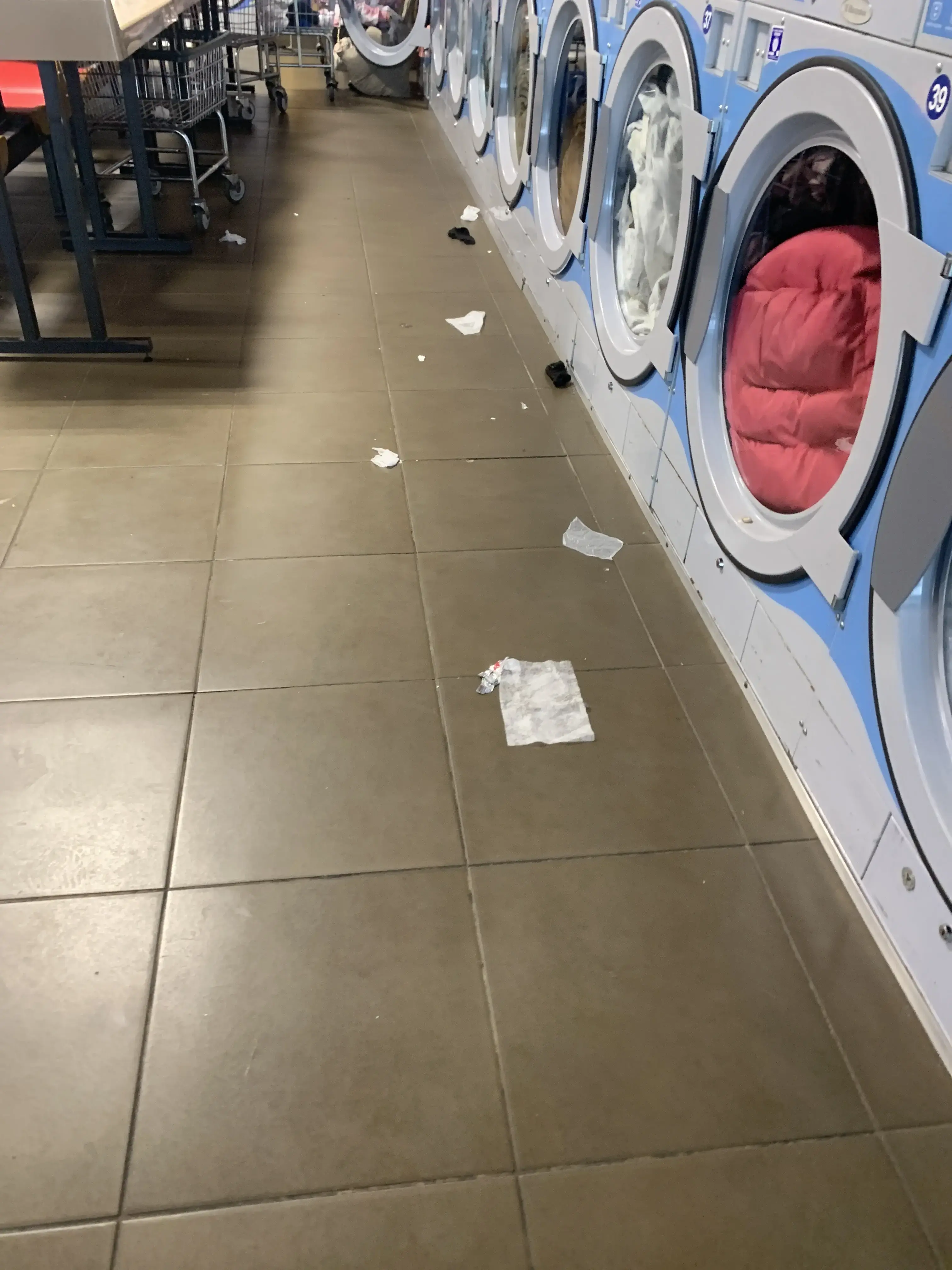 LUCA'S LAUNDRY thumbnail 4