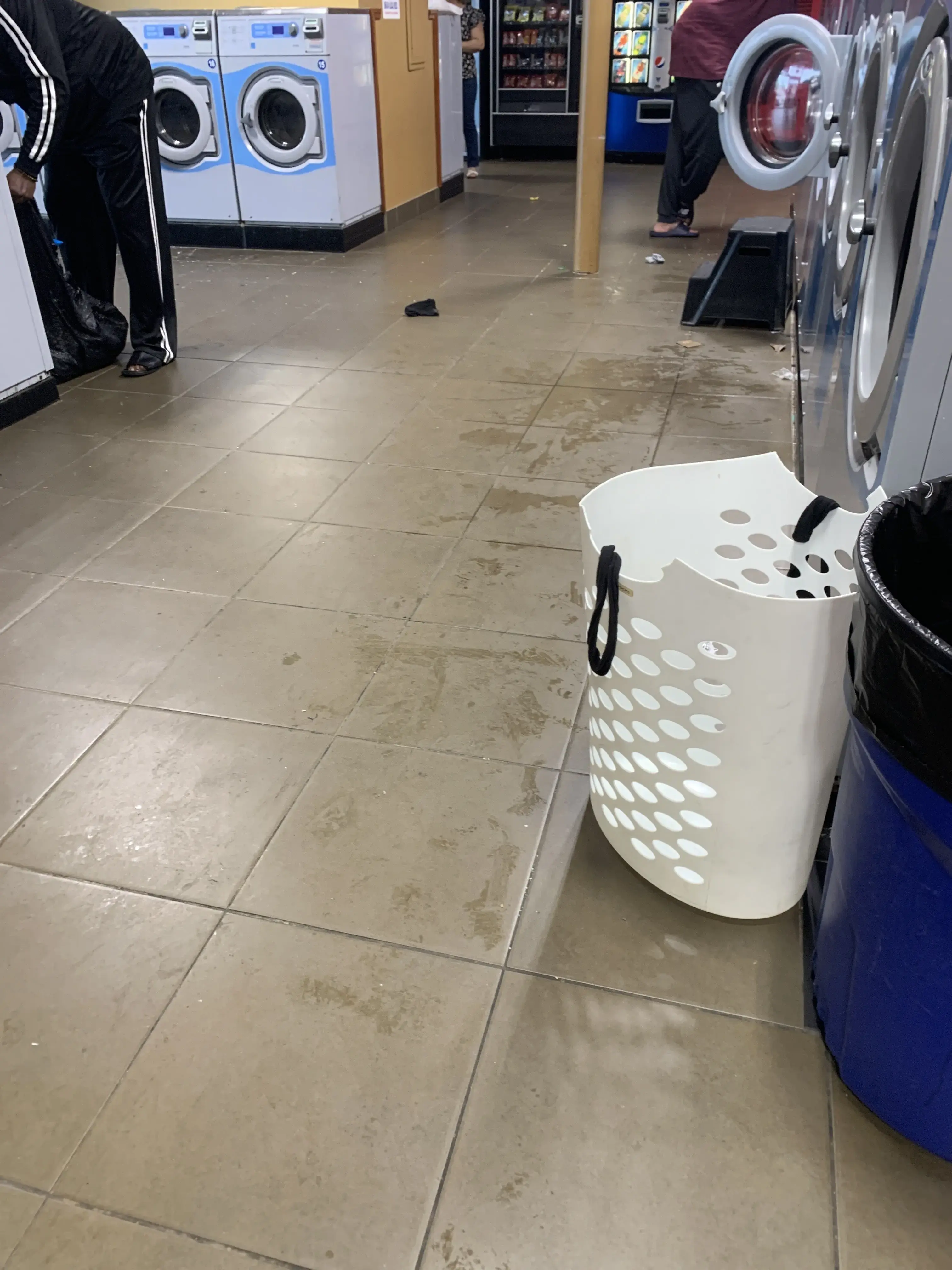 LUCA'S LAUNDRY thumbnail 5