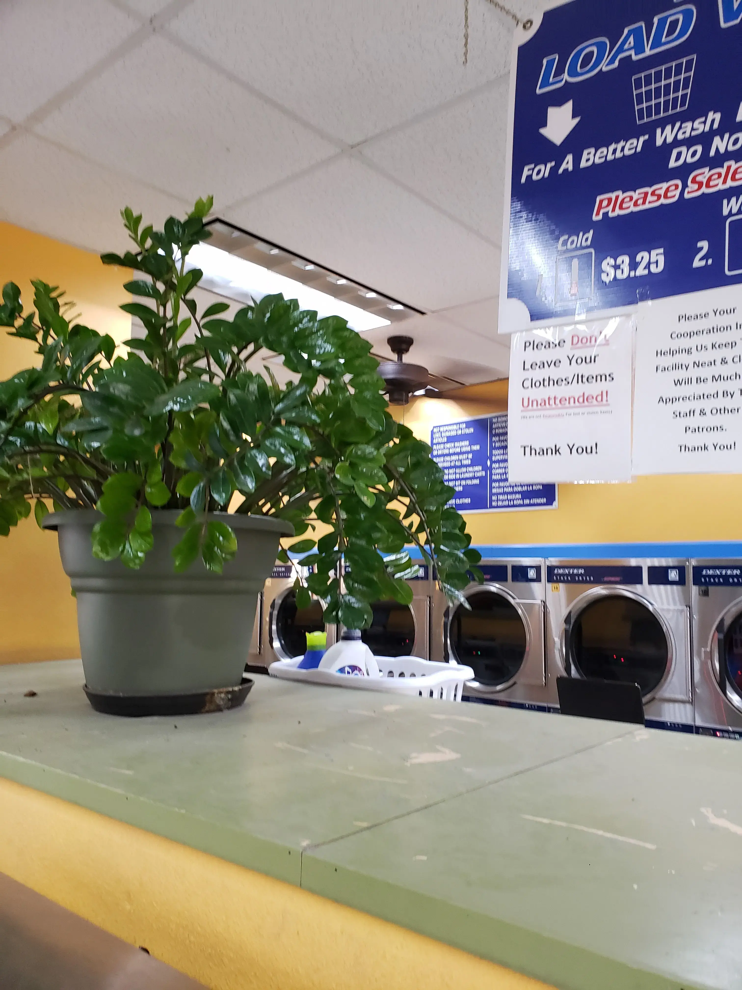 Lucky Day Laundromat + Drop - Off - Wash & Fold Services - Image 14
