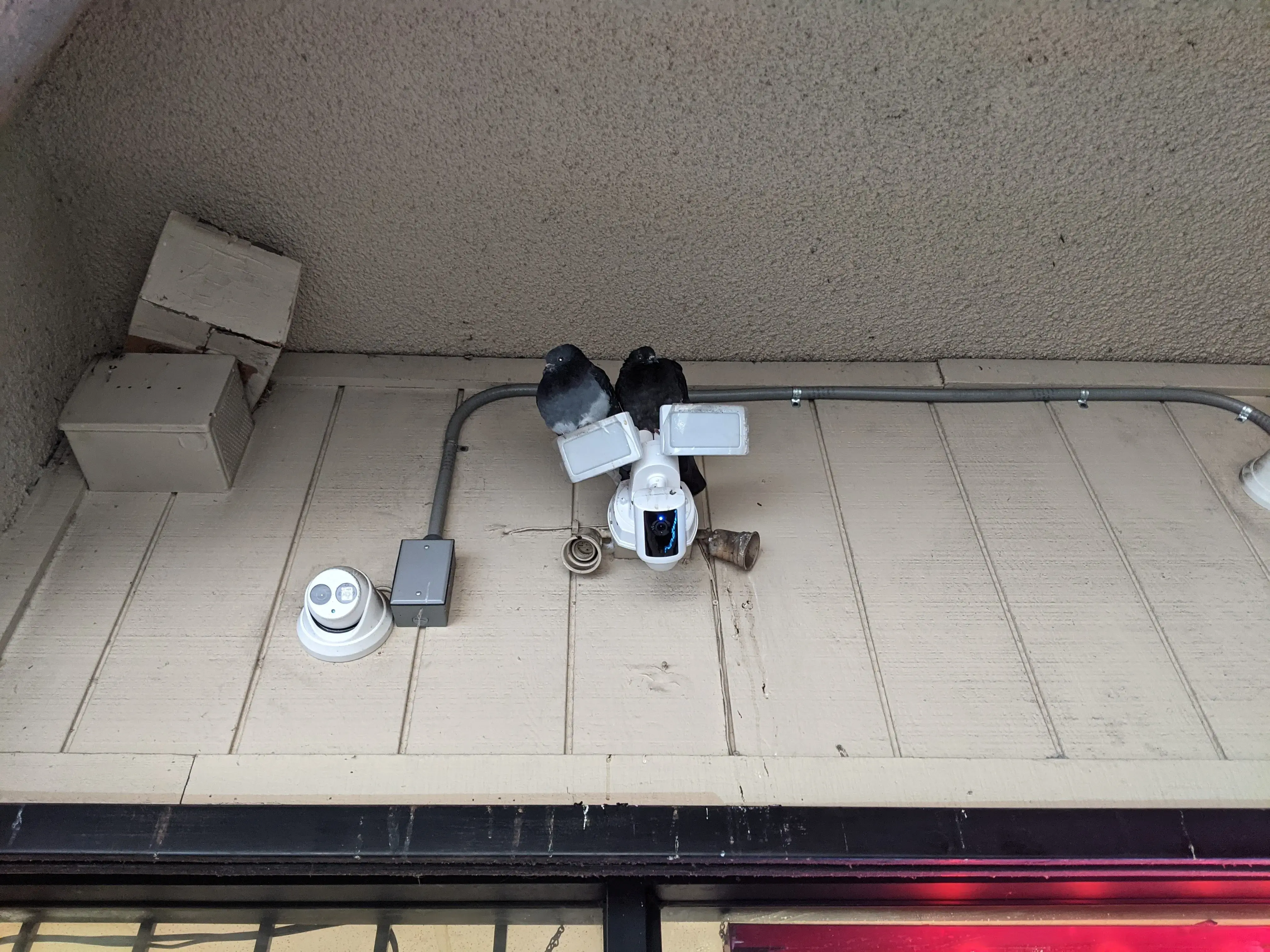 Lucky Laundromat - Image 14