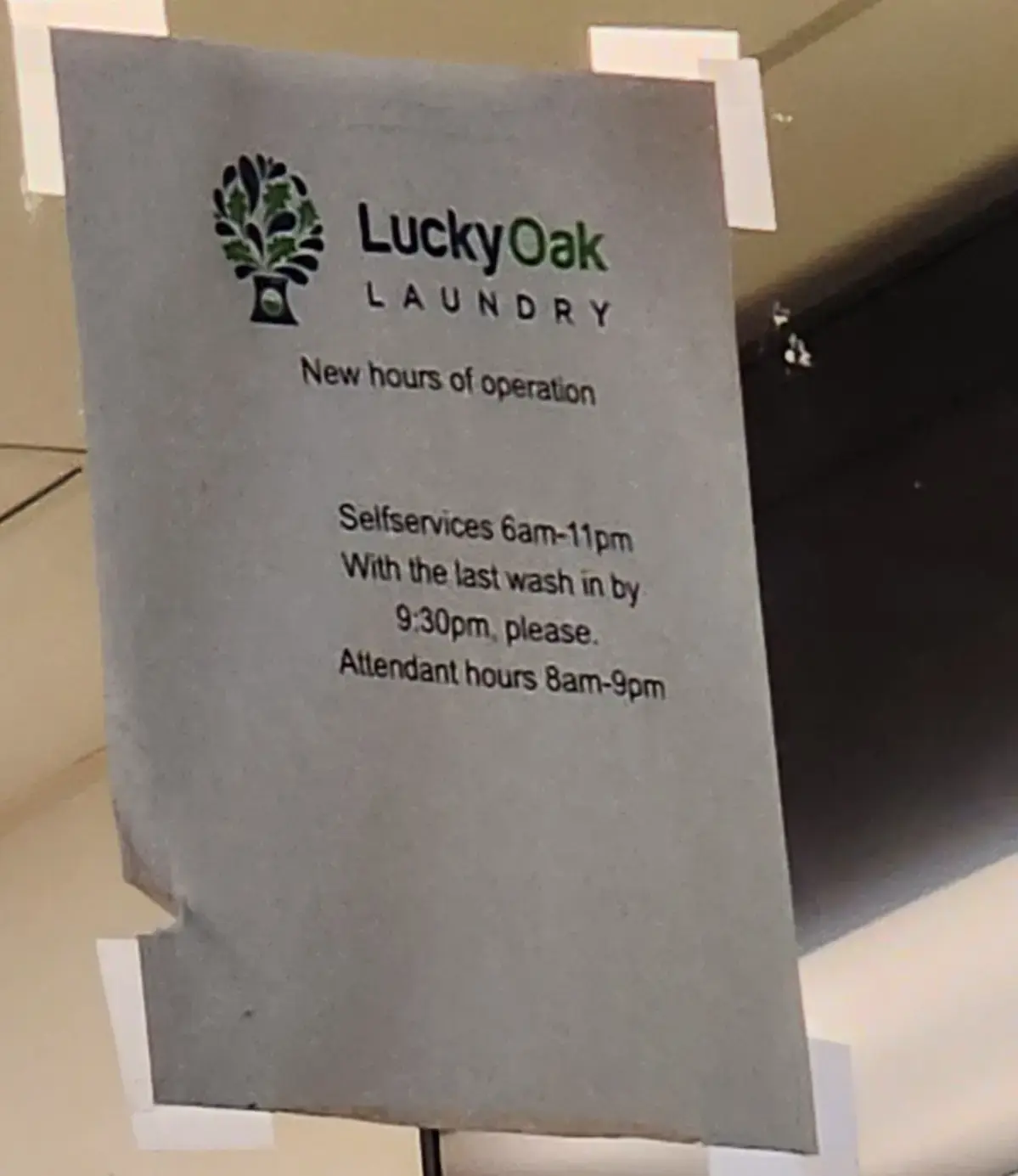 Lucky Oak Laundry thumbnail 5