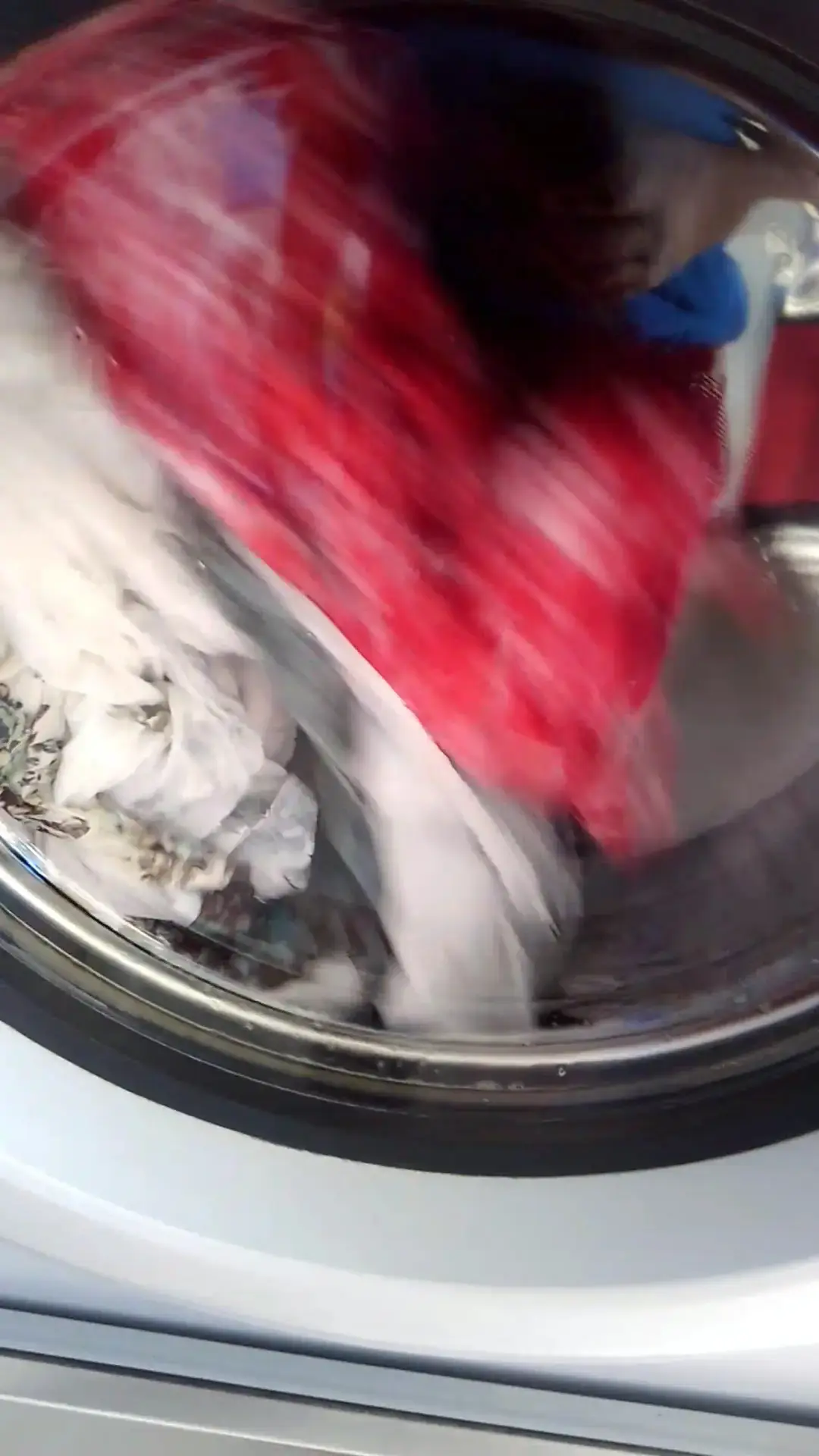 Lucy's Laundromat DBA COIN Less LAUNDRY thumbnail 16
