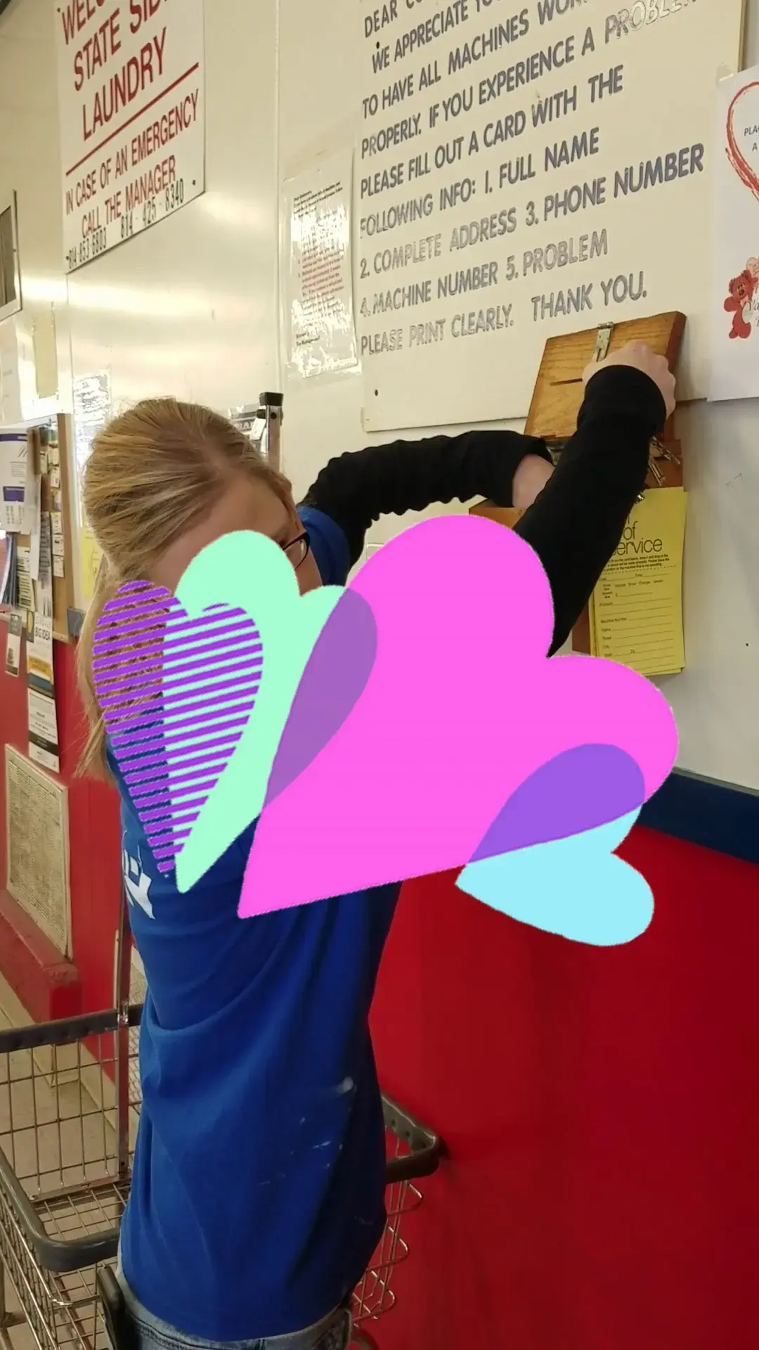 Lucy's Laundry Basket - Image 16