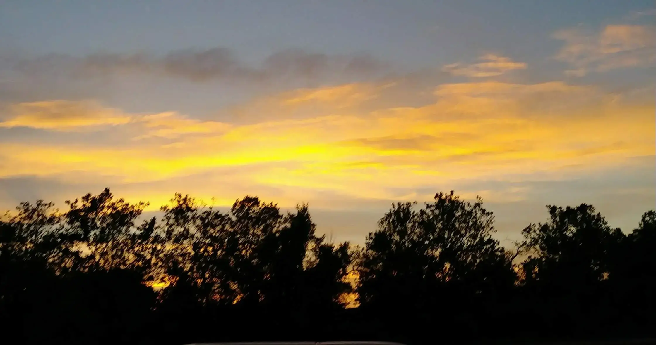 Lucy's Laundry Basket - Image 10