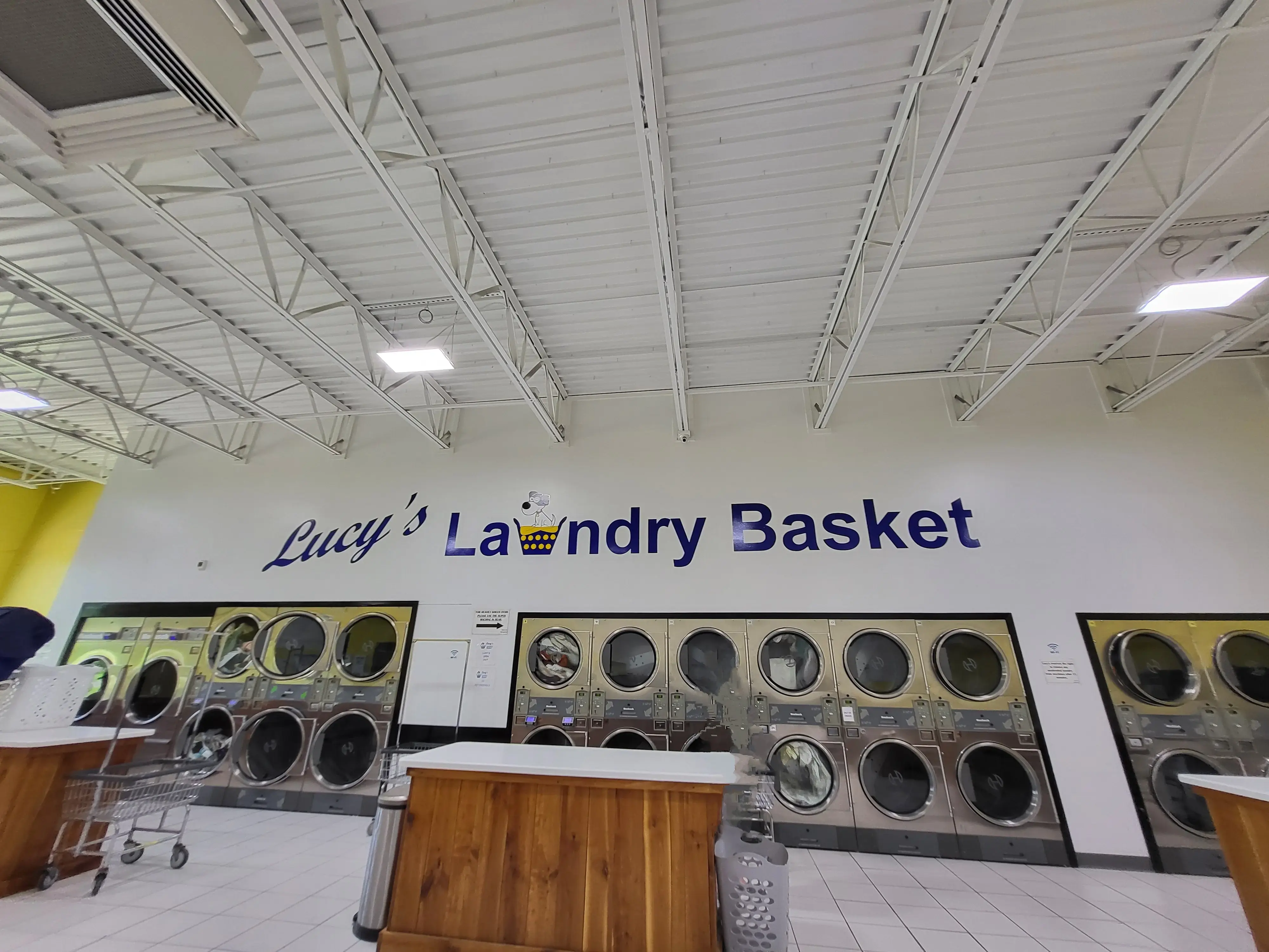 Lucy's Laundry Basket - Image 1