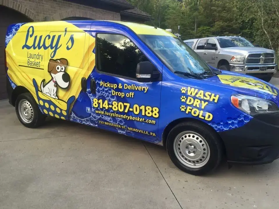 Lucy's Laundry Basket thumbnail 4