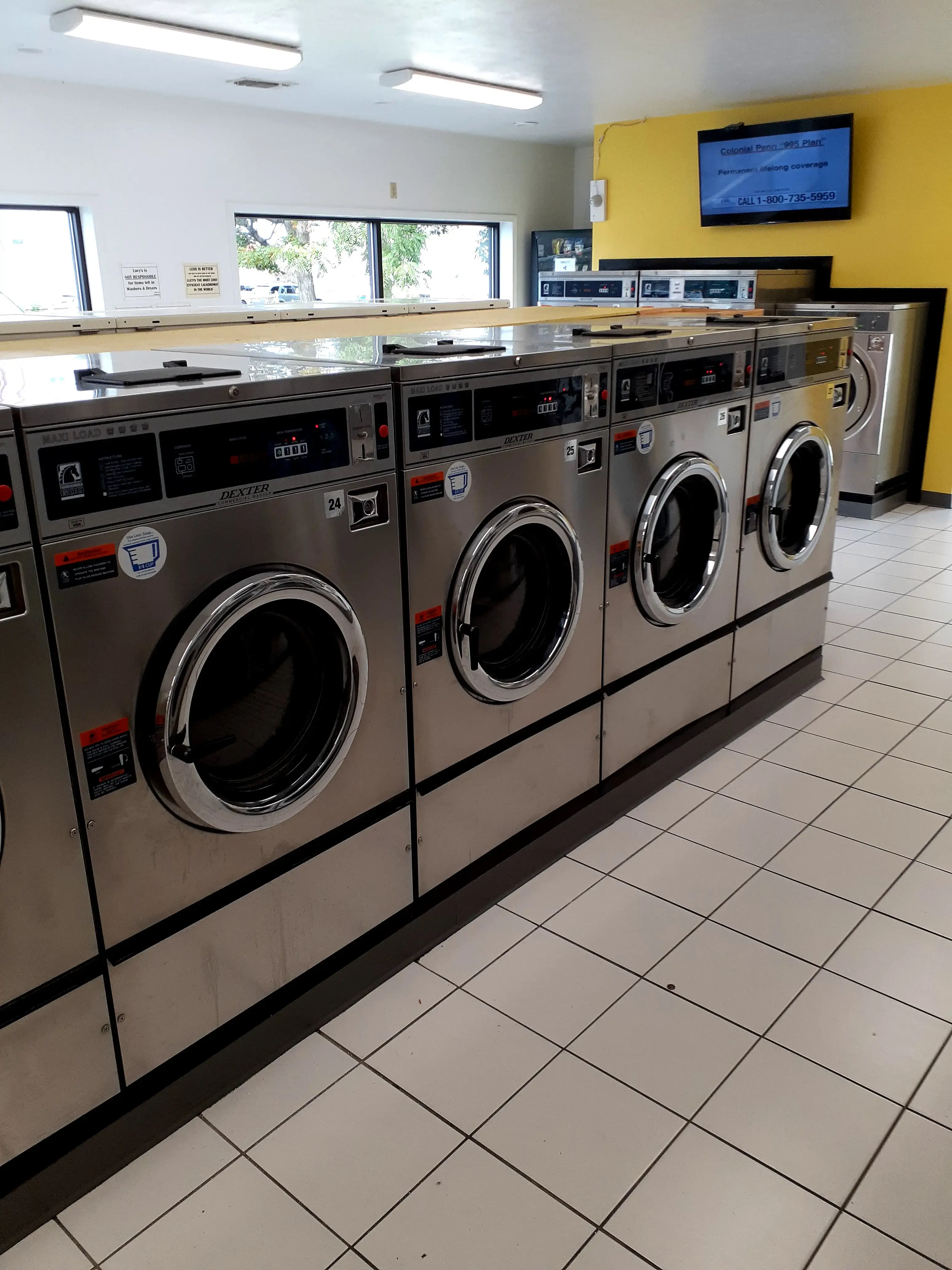 Lucy's Laundry Basket thumbnail 4