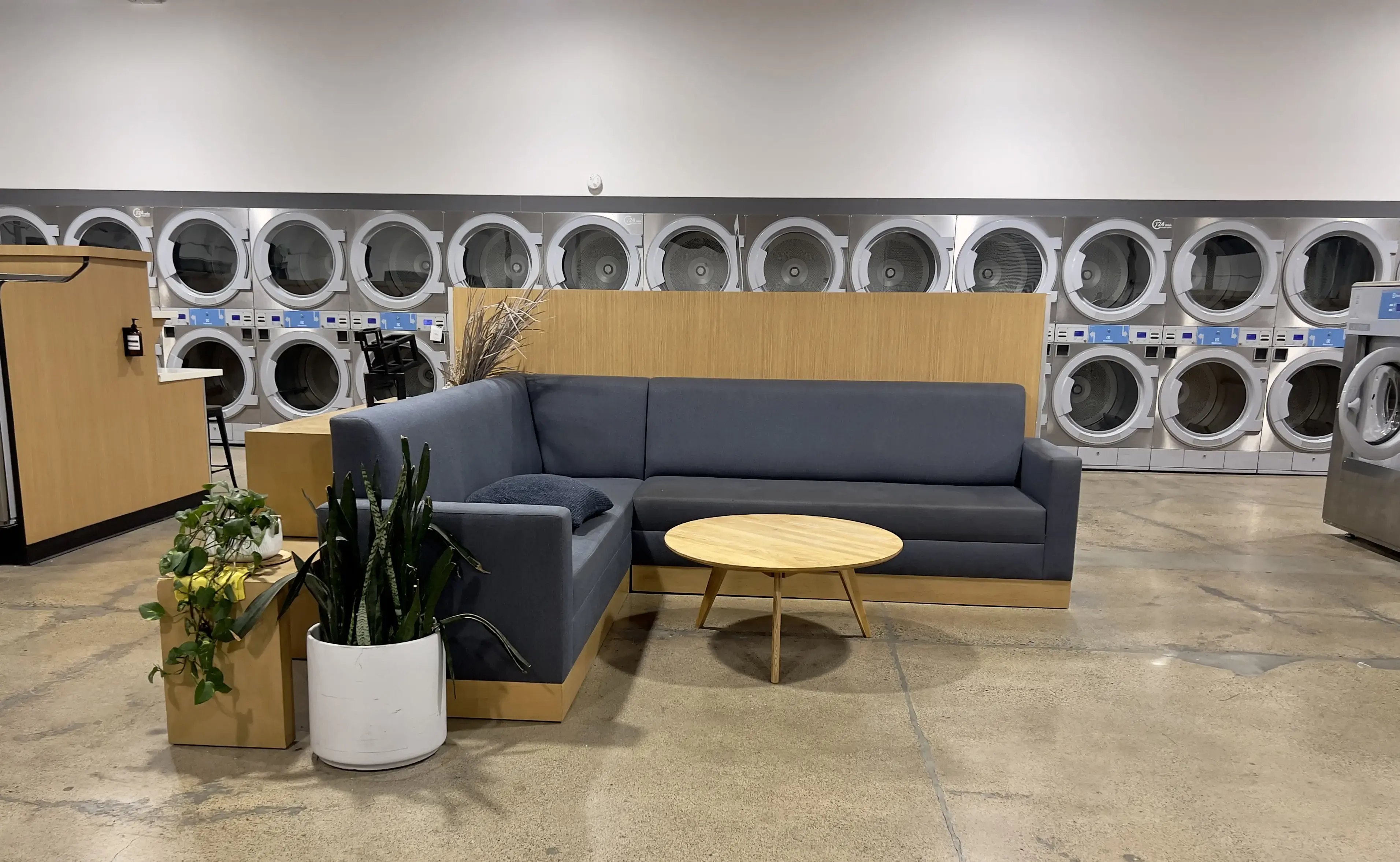 Lucy's Laundry - Image 14
