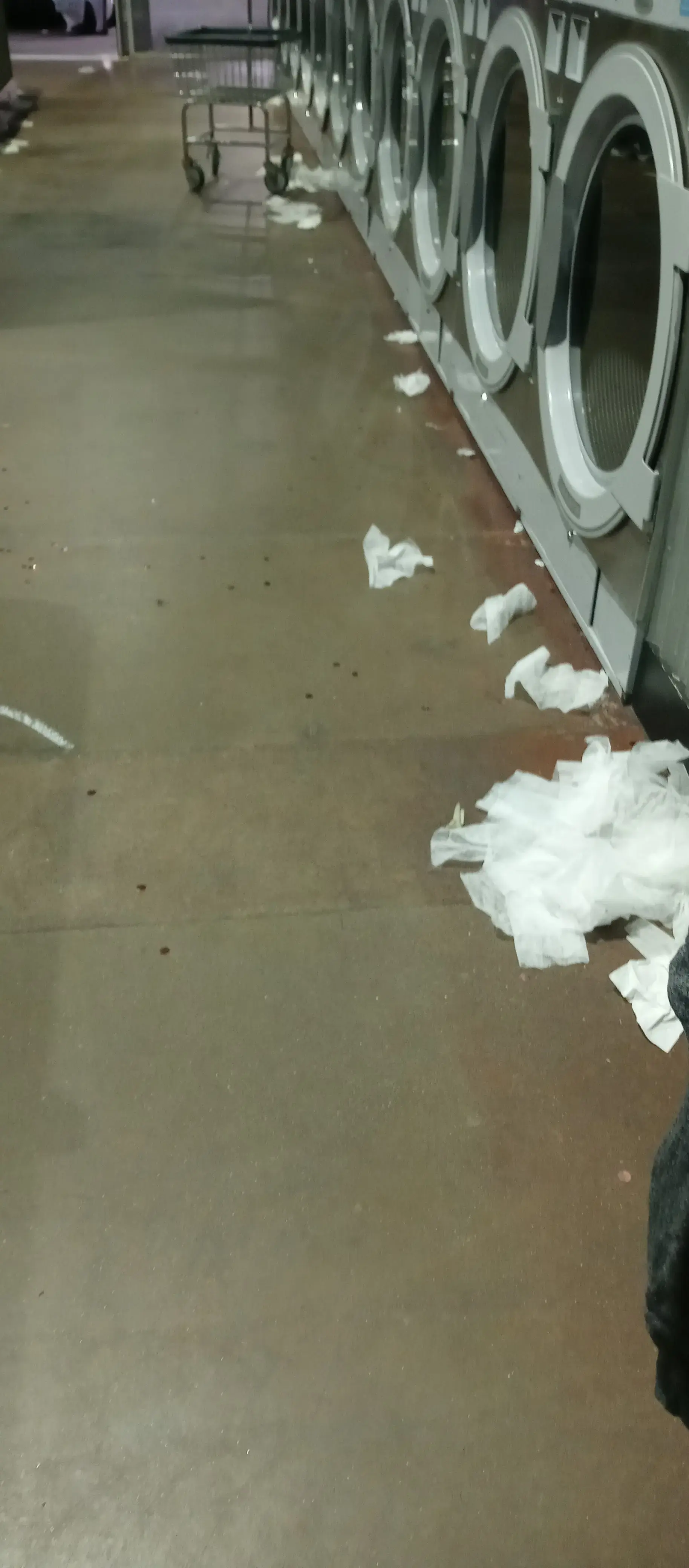 Lucy's Laundry & Dry Cleaning - Image 6