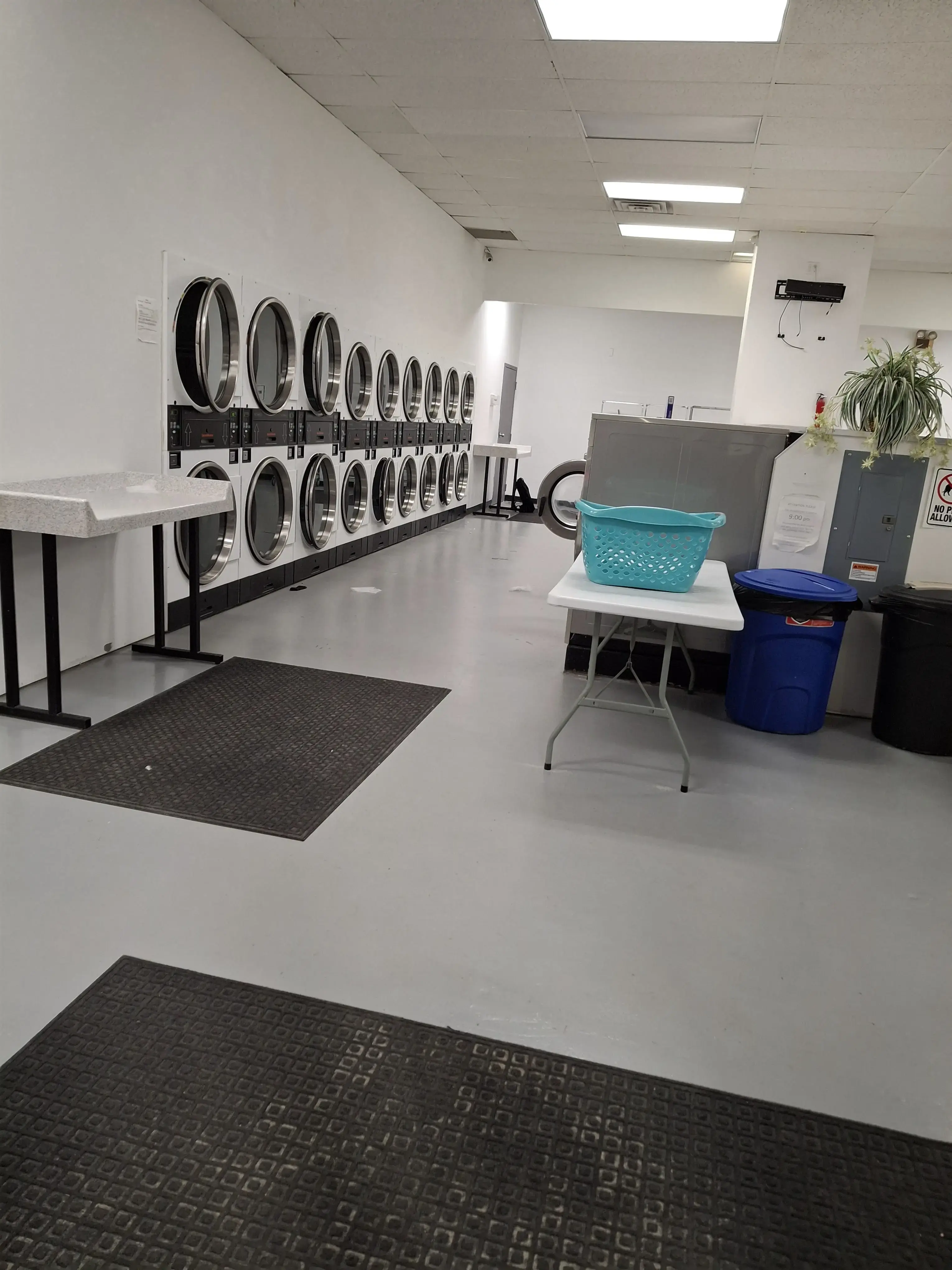 Ludlow Laundry Co. - LAUNDROMAT thumbnail 6
