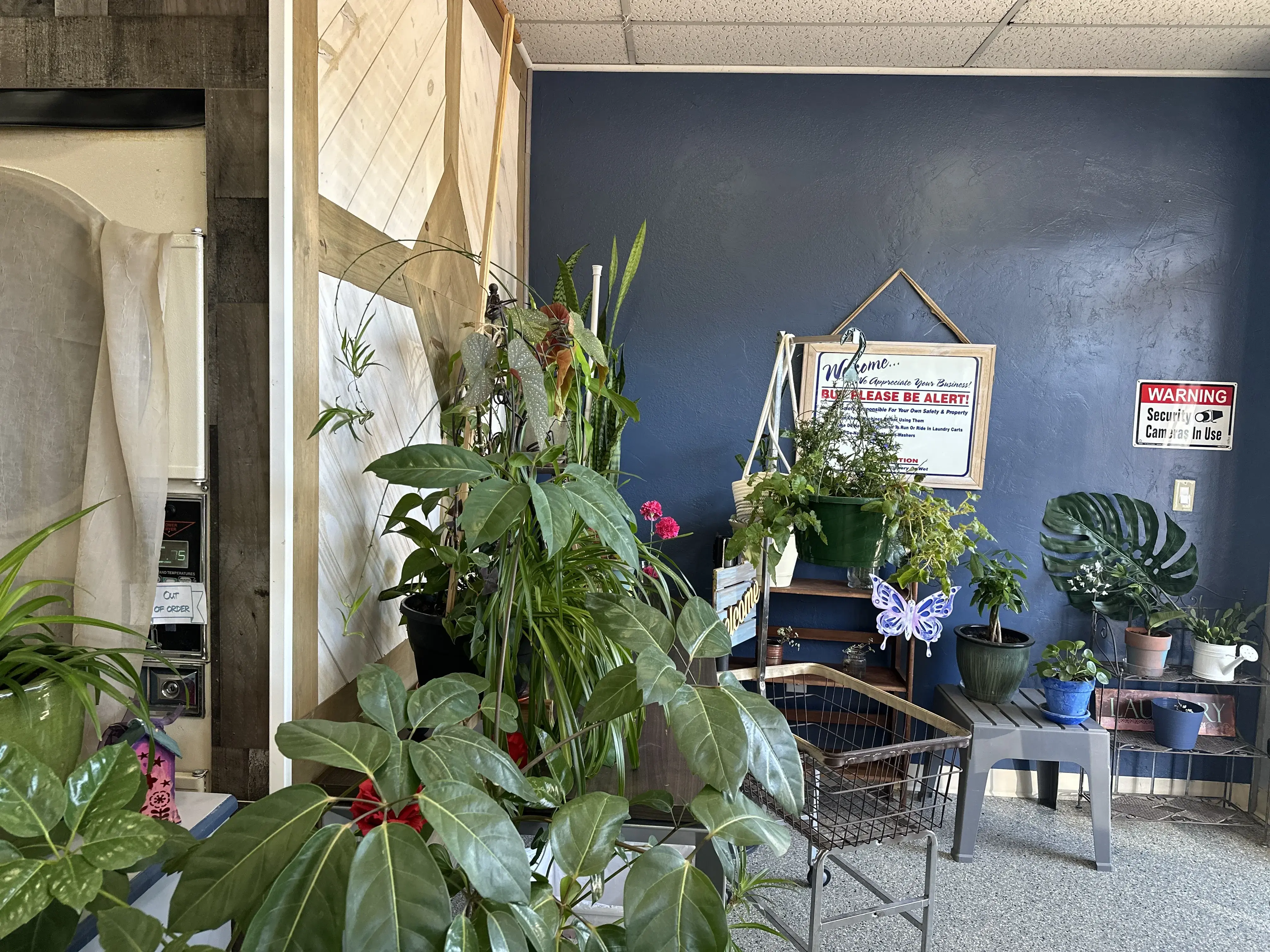 Luke's Laundry - Image 18