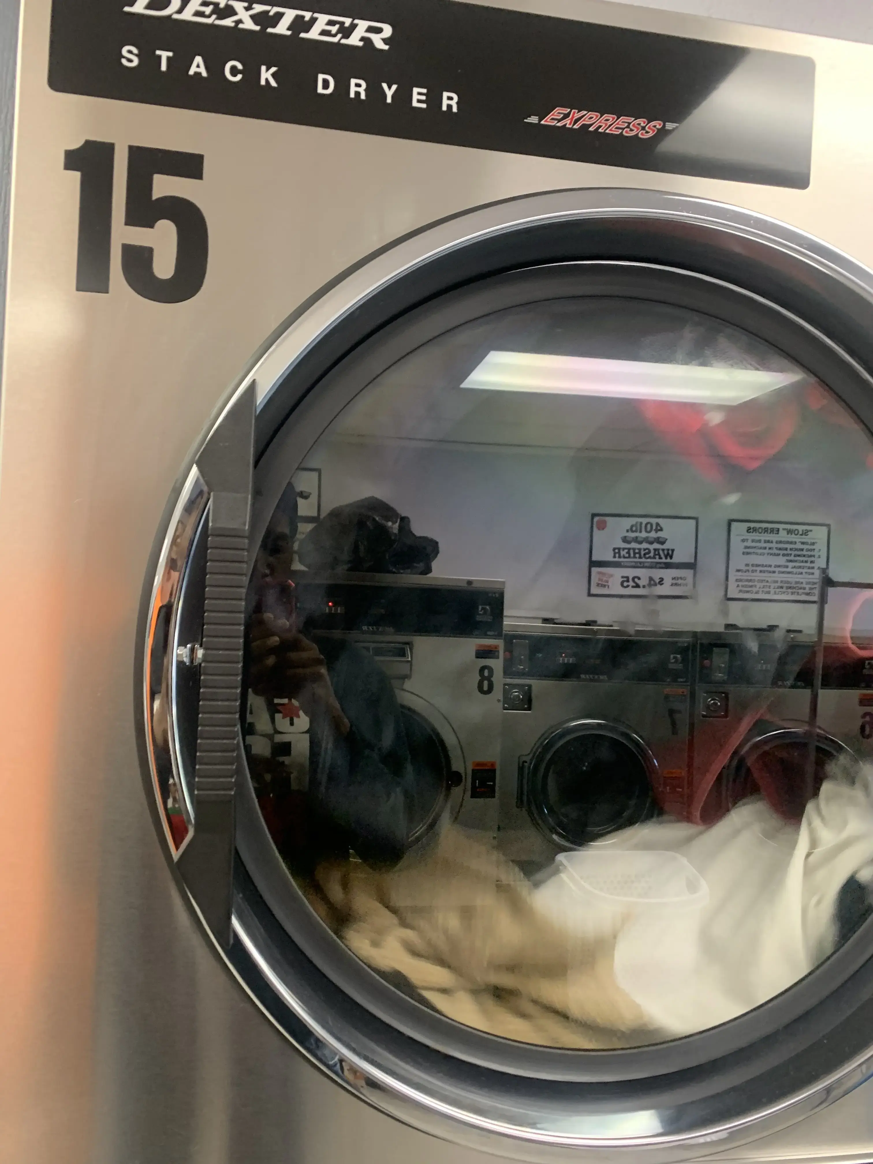 Lutz Coin Laundry thumbnail 16