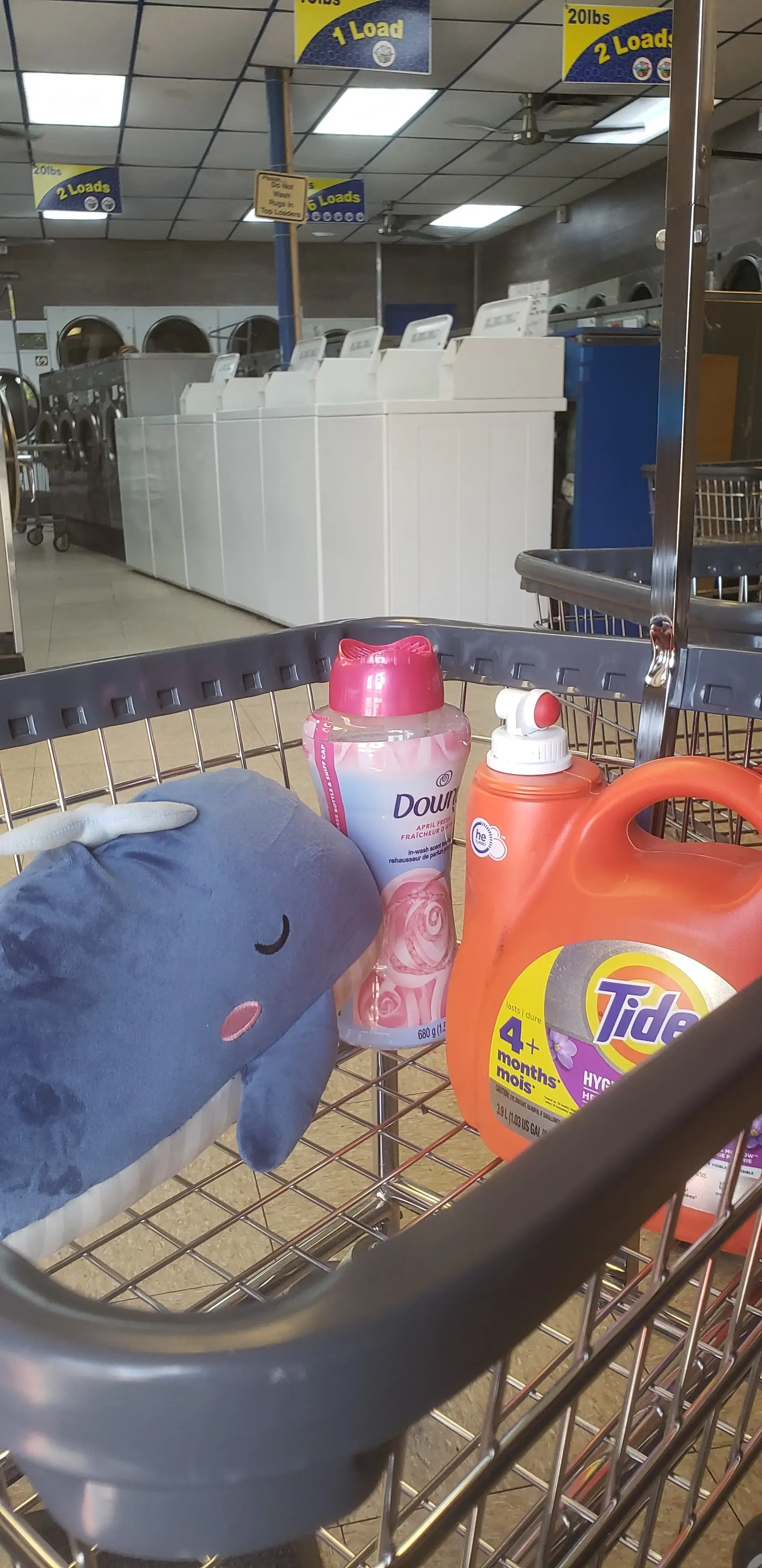 Lutz Laundromat & Cleaners thumbnail 14