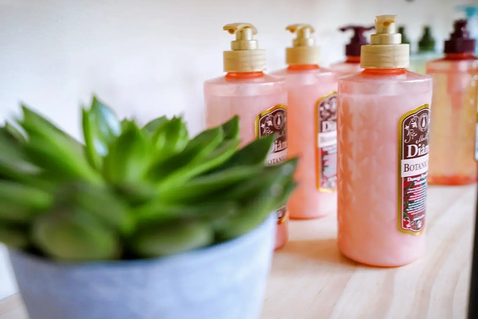 Luxwater Laundry Place / Japanese Laundromat / Retail 水のスペース thumbnail 16