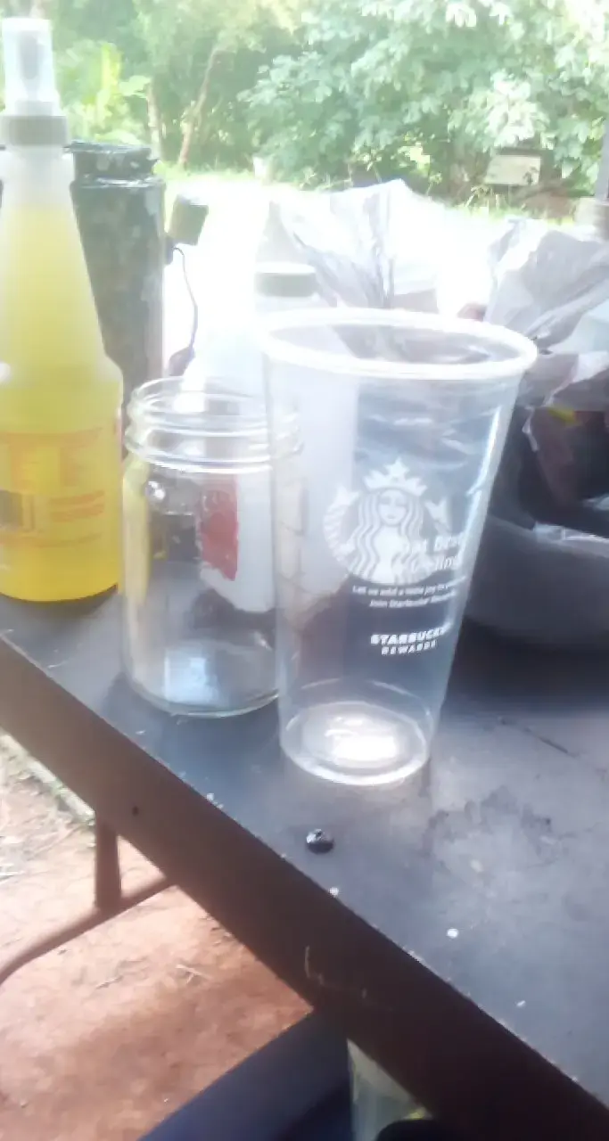 M S Rose Laundromat - Image 8