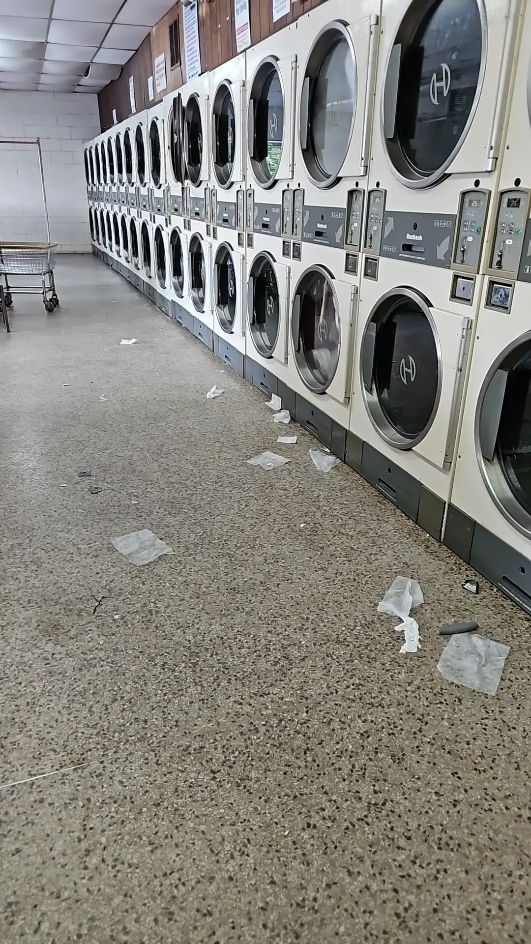 M S Rose Laundromat - Image 14