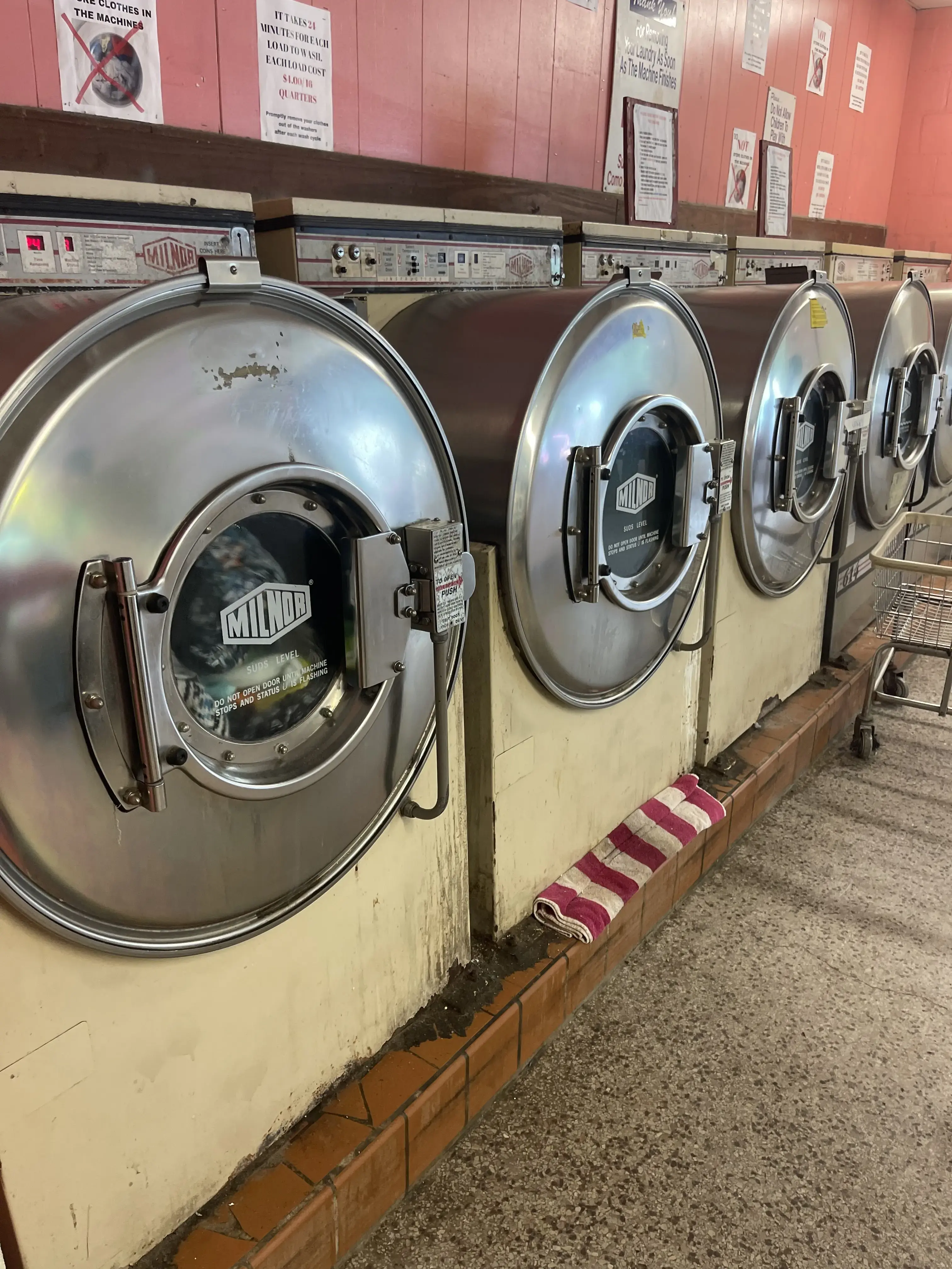 M S Rose Laundromat thumbnail 1