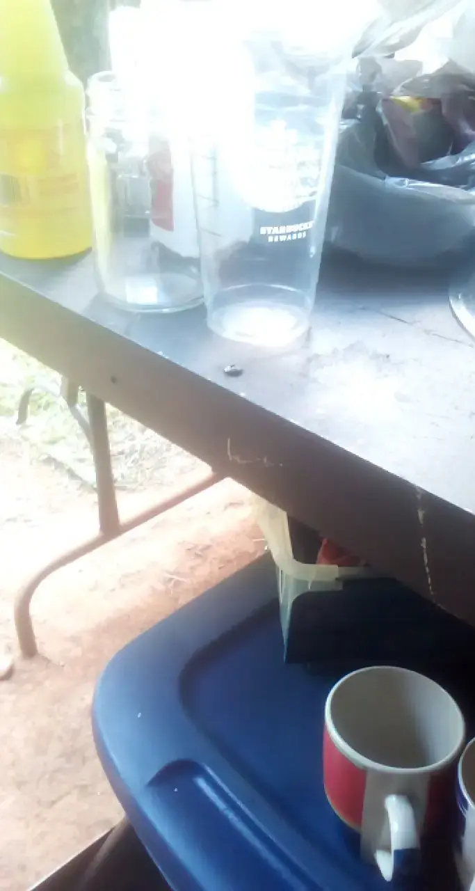 M S Rose Laundromat thumbnail 5