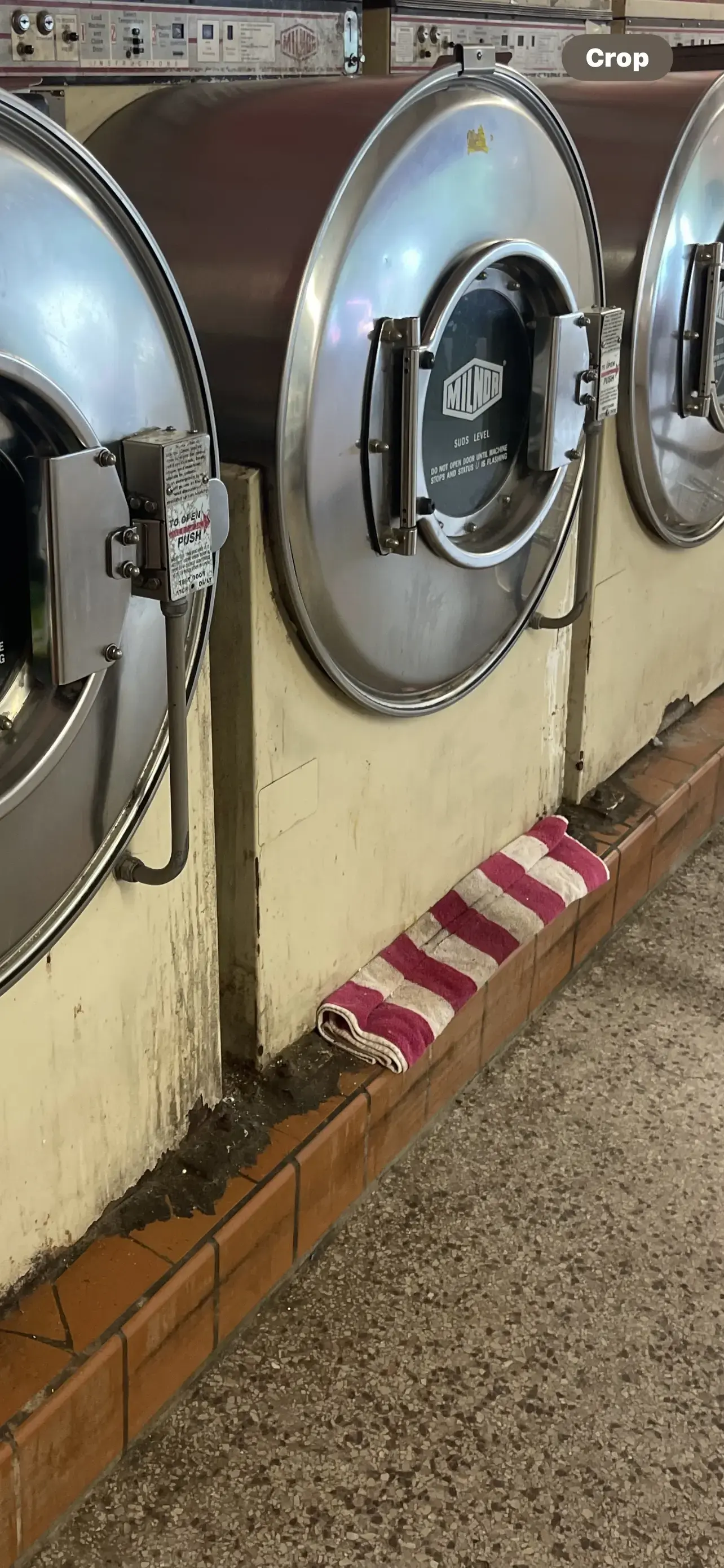 M S Rose Laundromat - Image 9