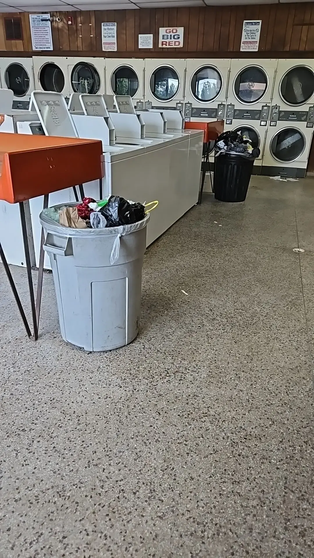 M S Rose Laundromat thumbnail 12