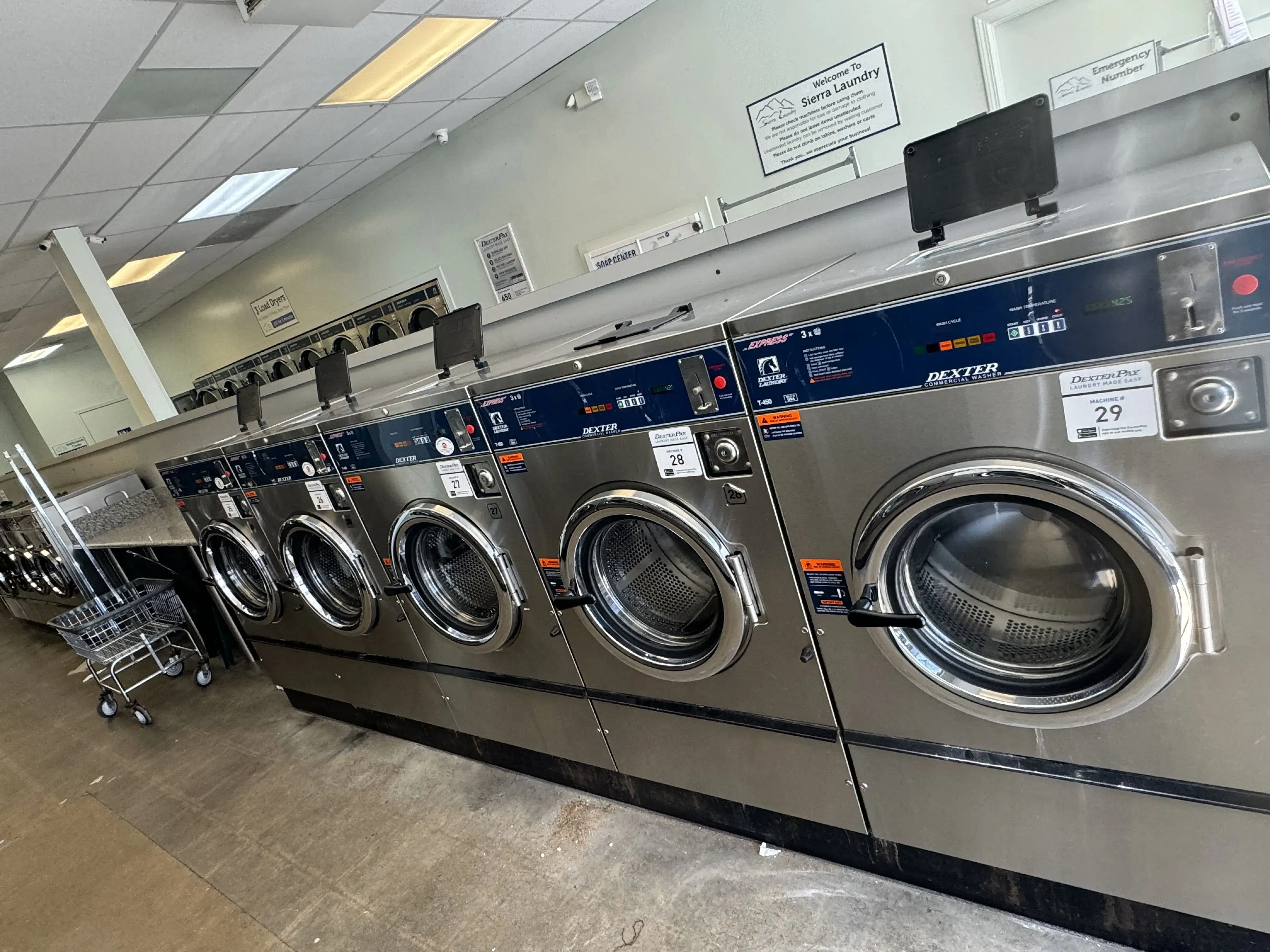 Madison Coin Wash - Image 2
