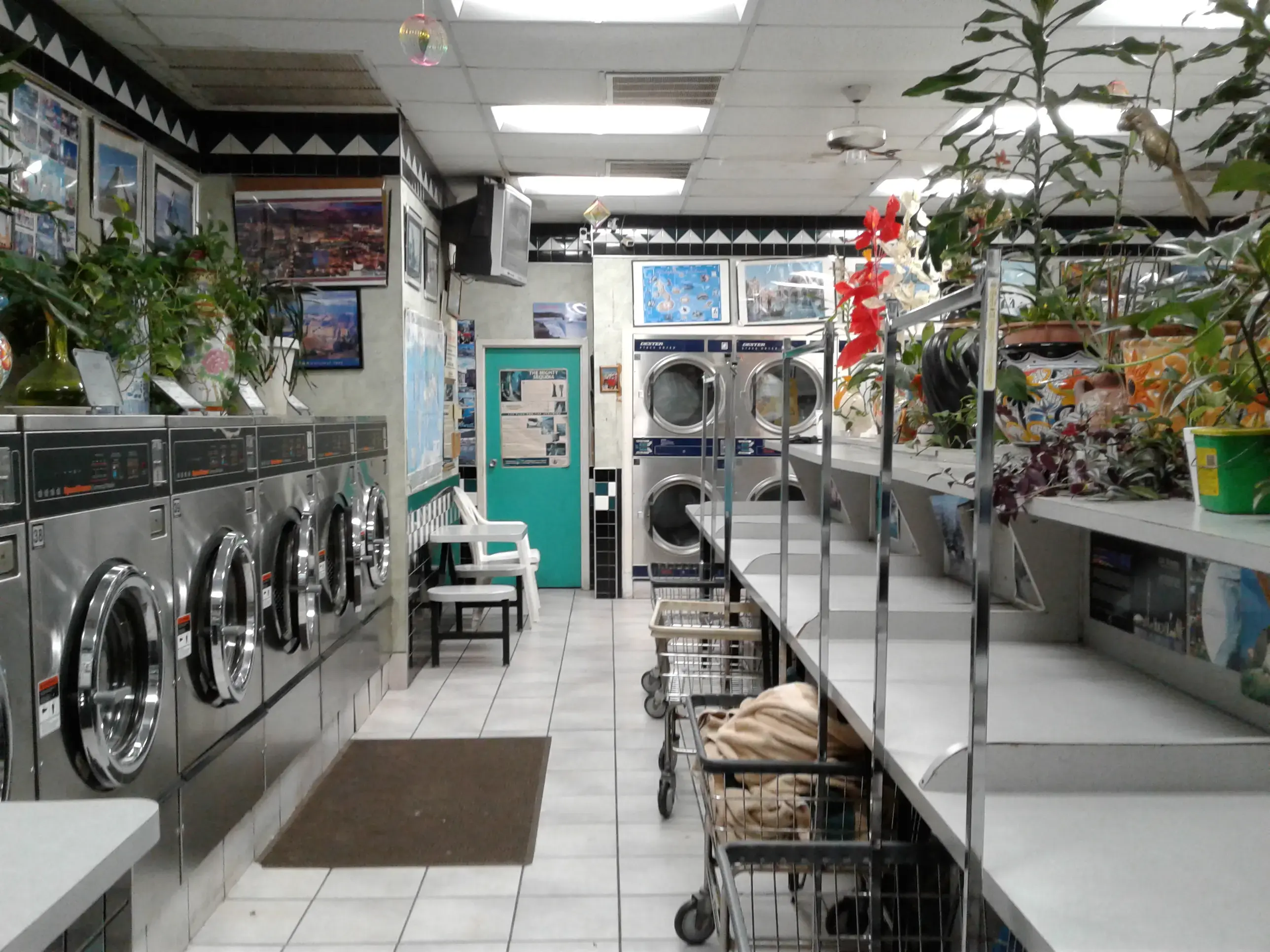 Mahmood coin laundry Quick Wash location