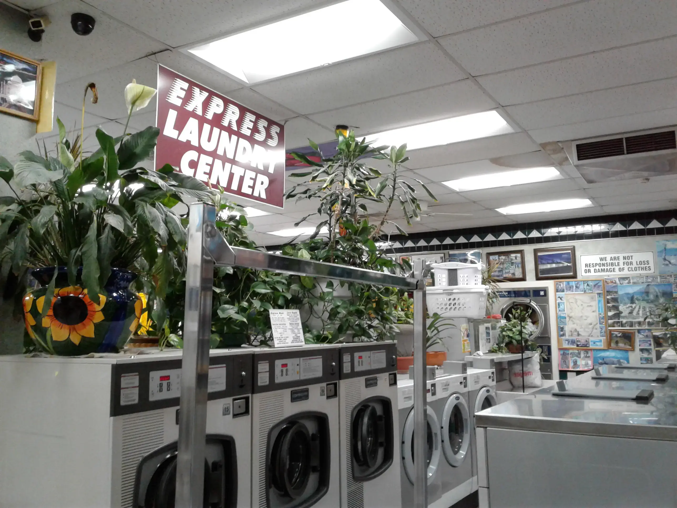 Mahmood coin laundry Quick Wash thumbnail 15