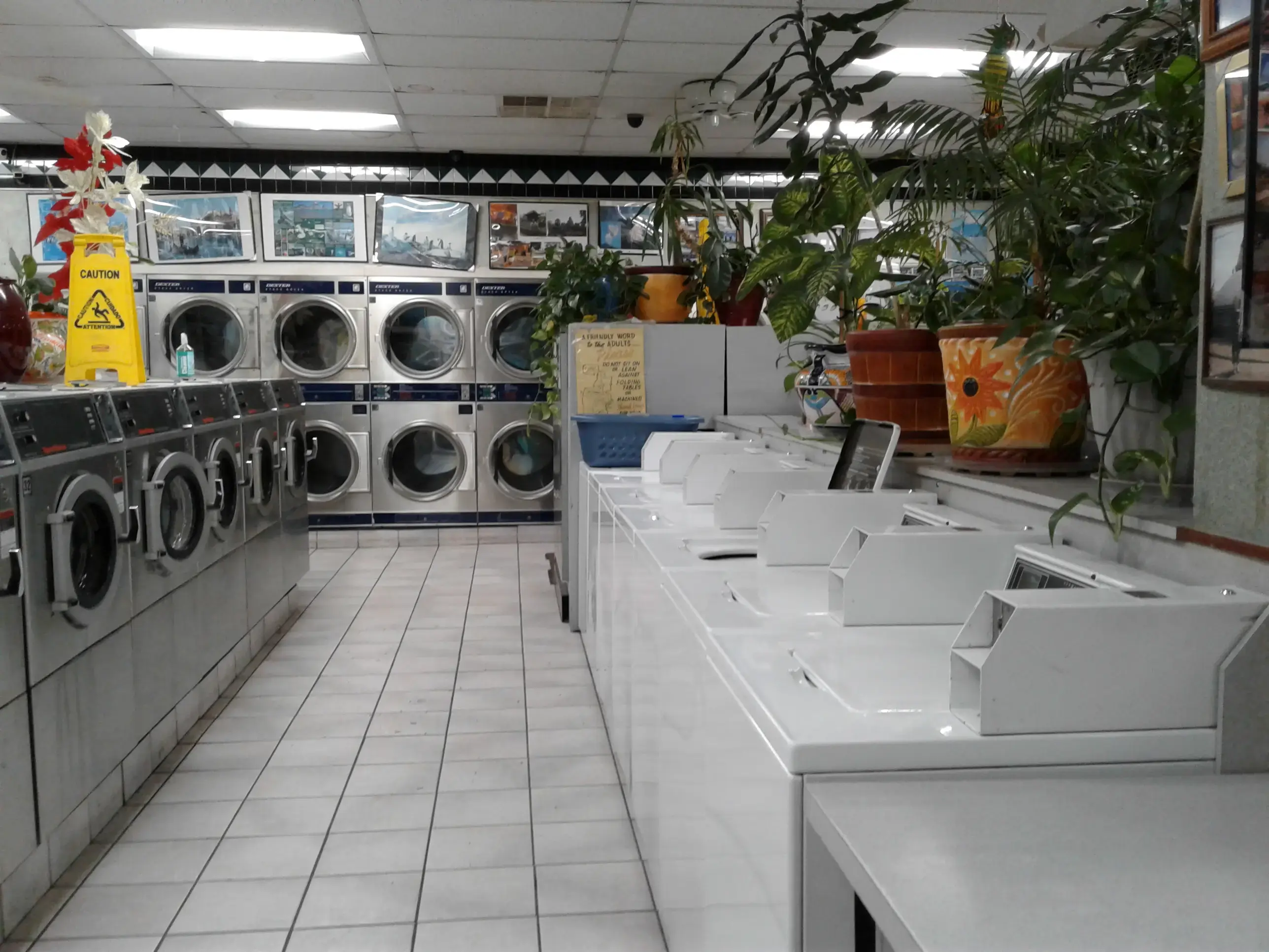 Mahmood coin laundry Quick Wash thumbnail 13