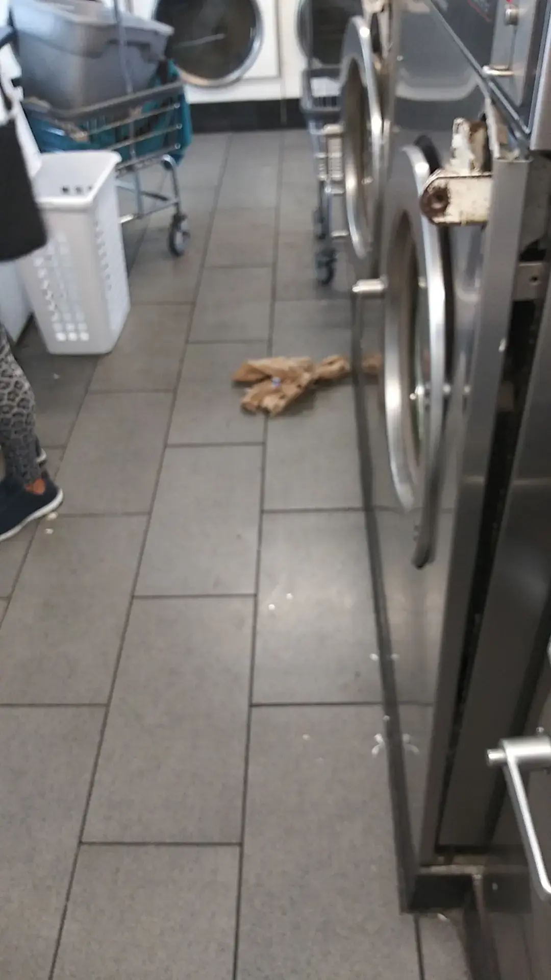 Mai Laundromat thumbnail 9