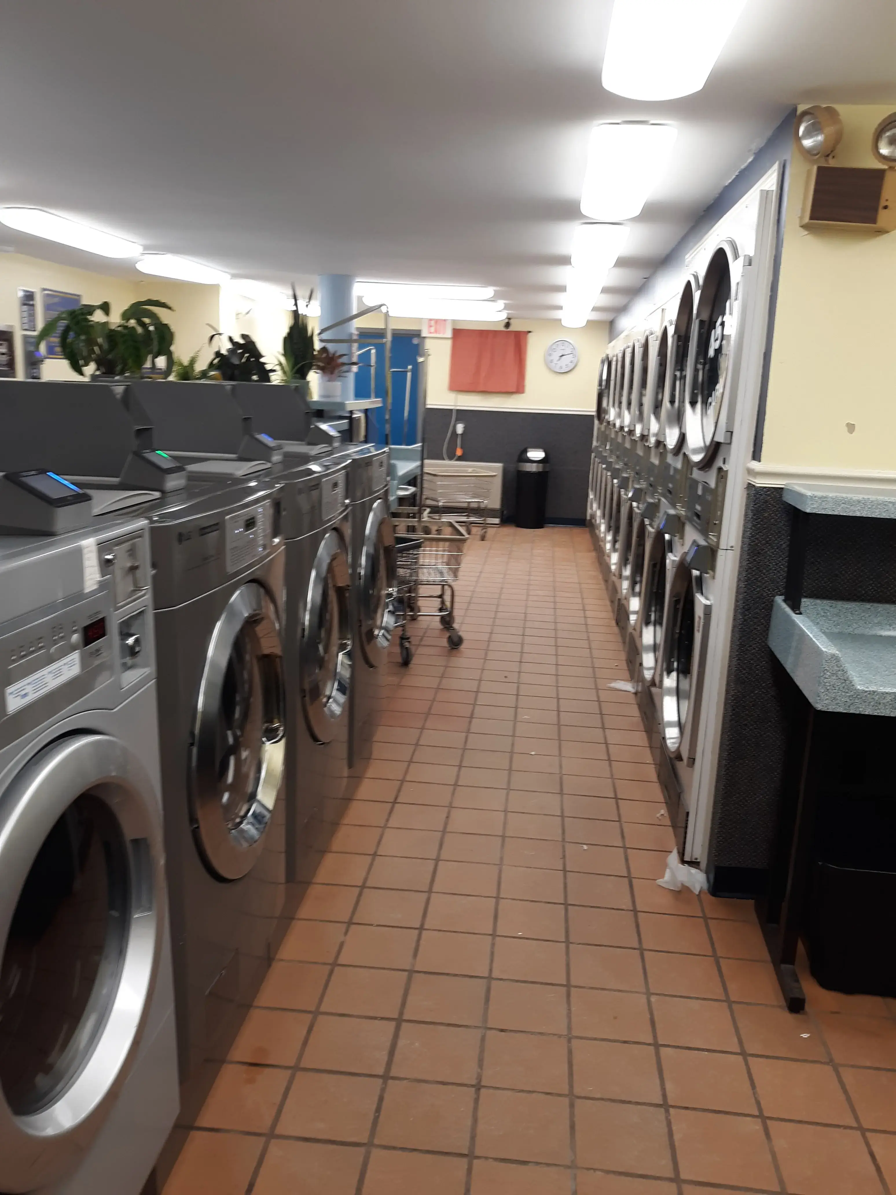Maine Street Laundromat Scarborough thumbnail 16