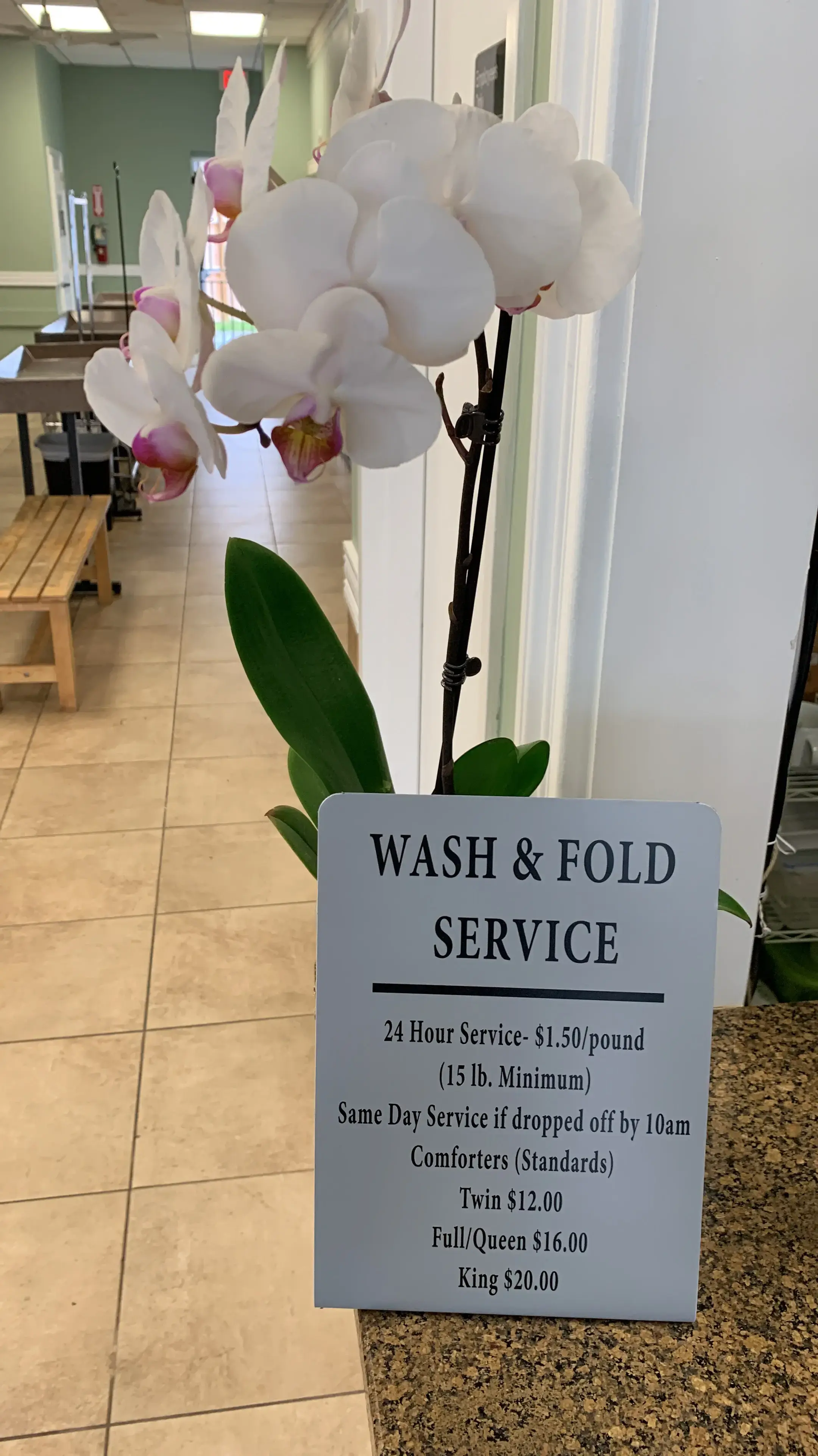 Mama's Laundromat - Image 16