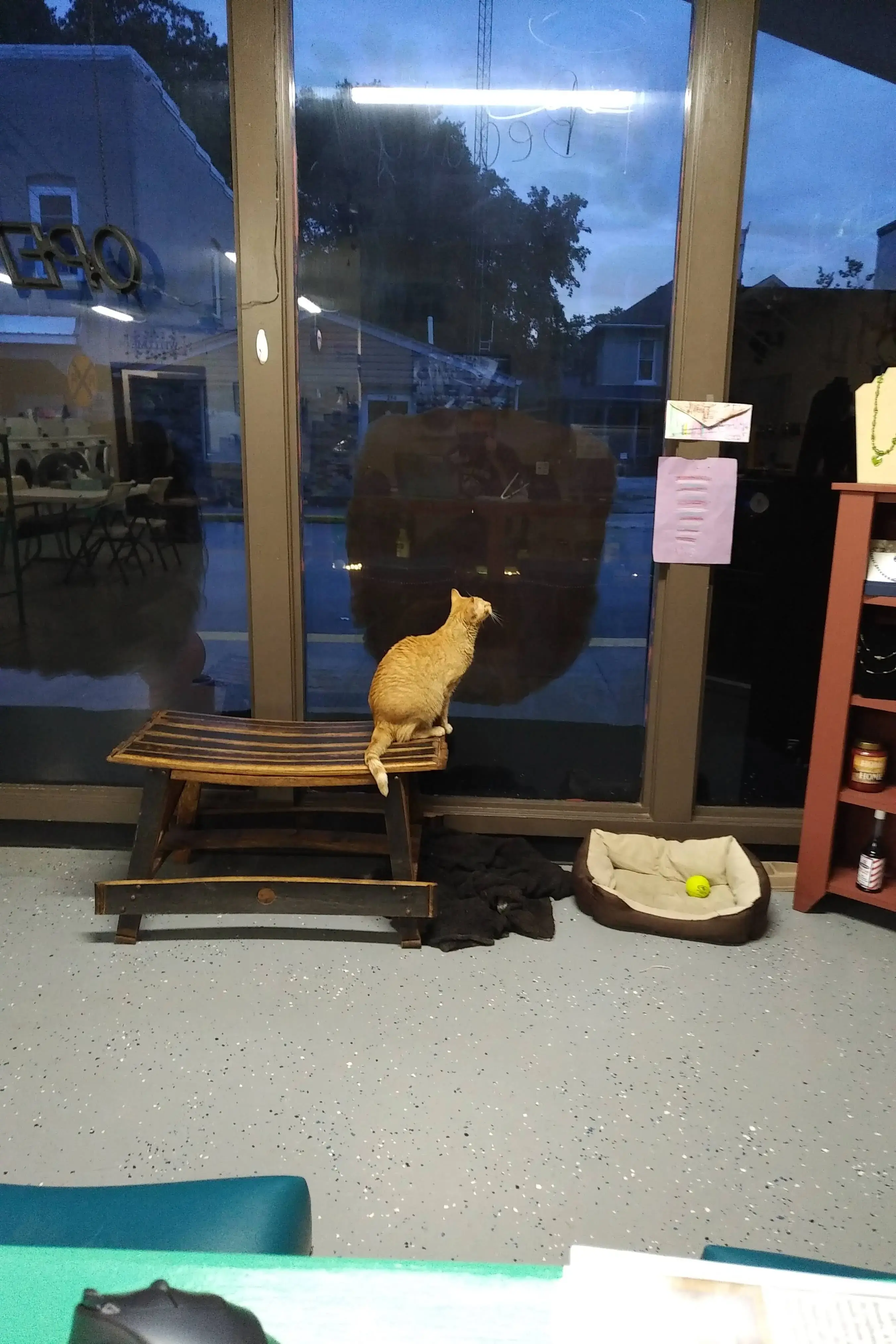 Mamee's, LLC thumbnail 6