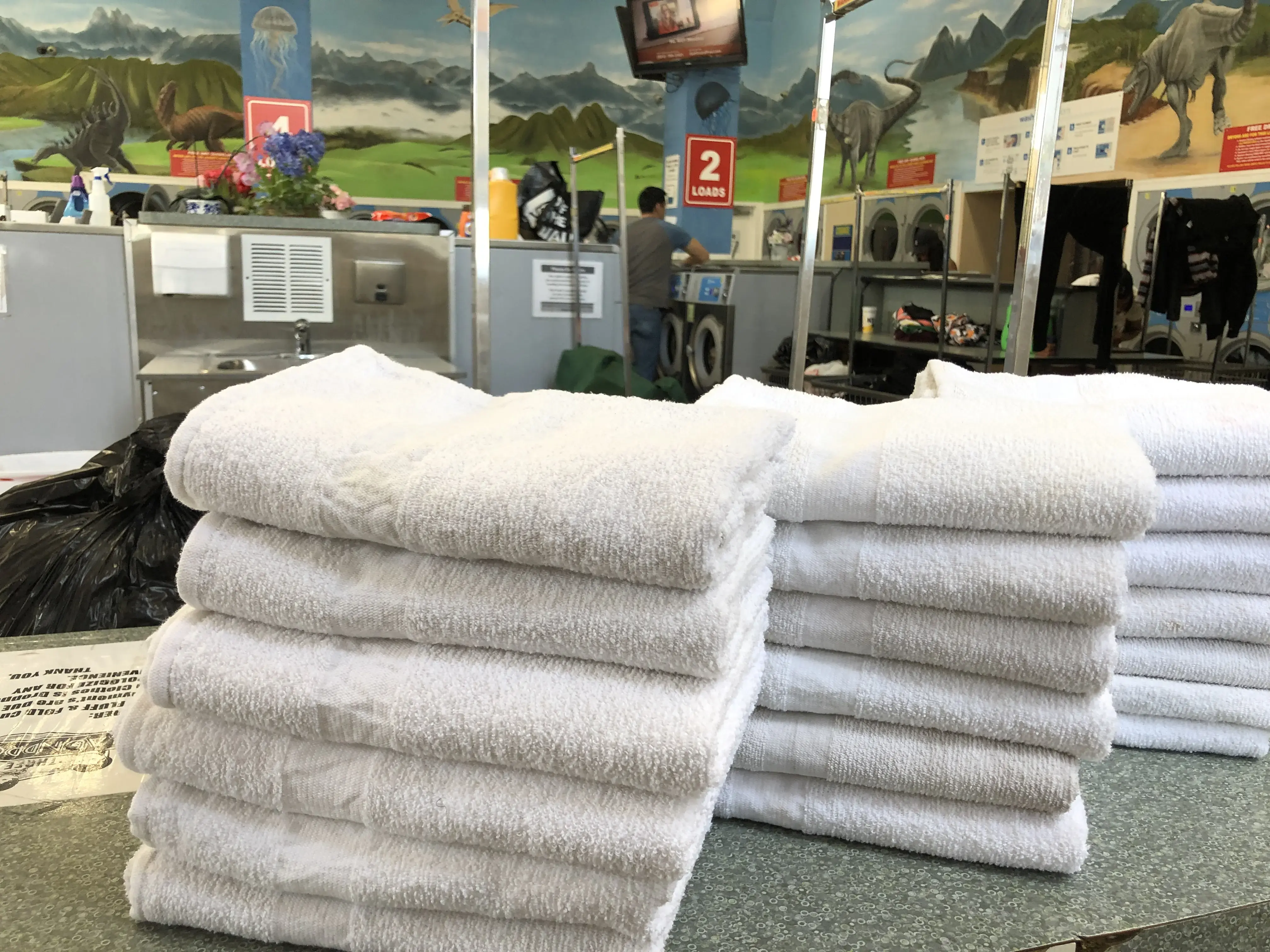 MANCHESTER LAUNDRY thumbnail 13
