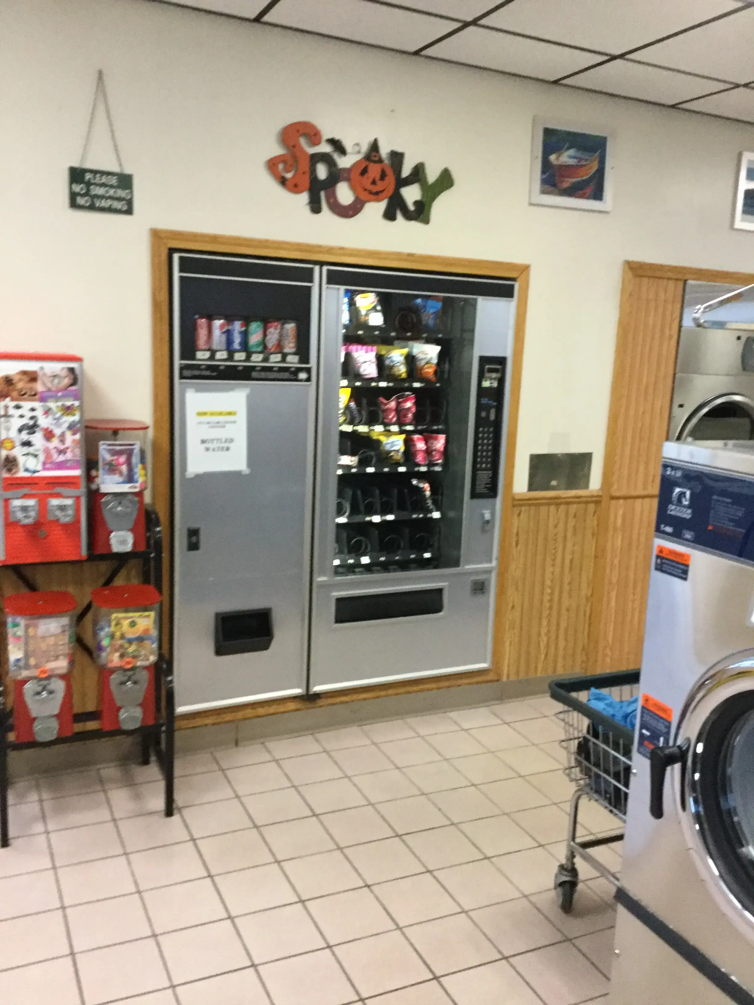 Manistee Cleaning Solution - Image 15