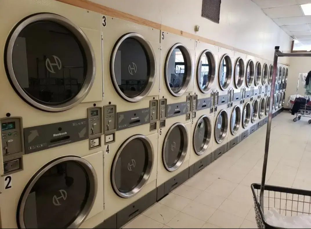 Maple Laundromat dry cleaners and laundry svc tayloring and alterations - Image 2
