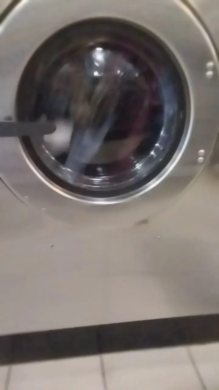 Maria's Wash N' Dry - Image 19