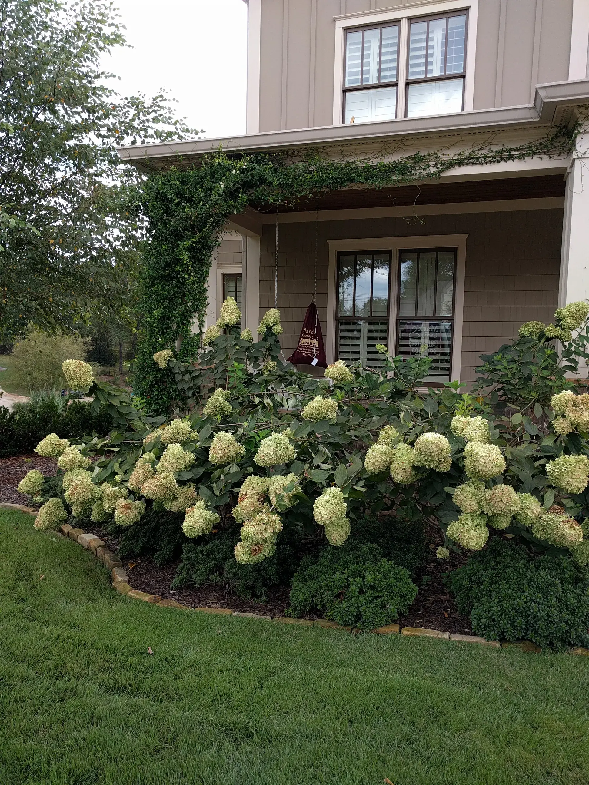 Mark's Quality Cleaners - Image 19