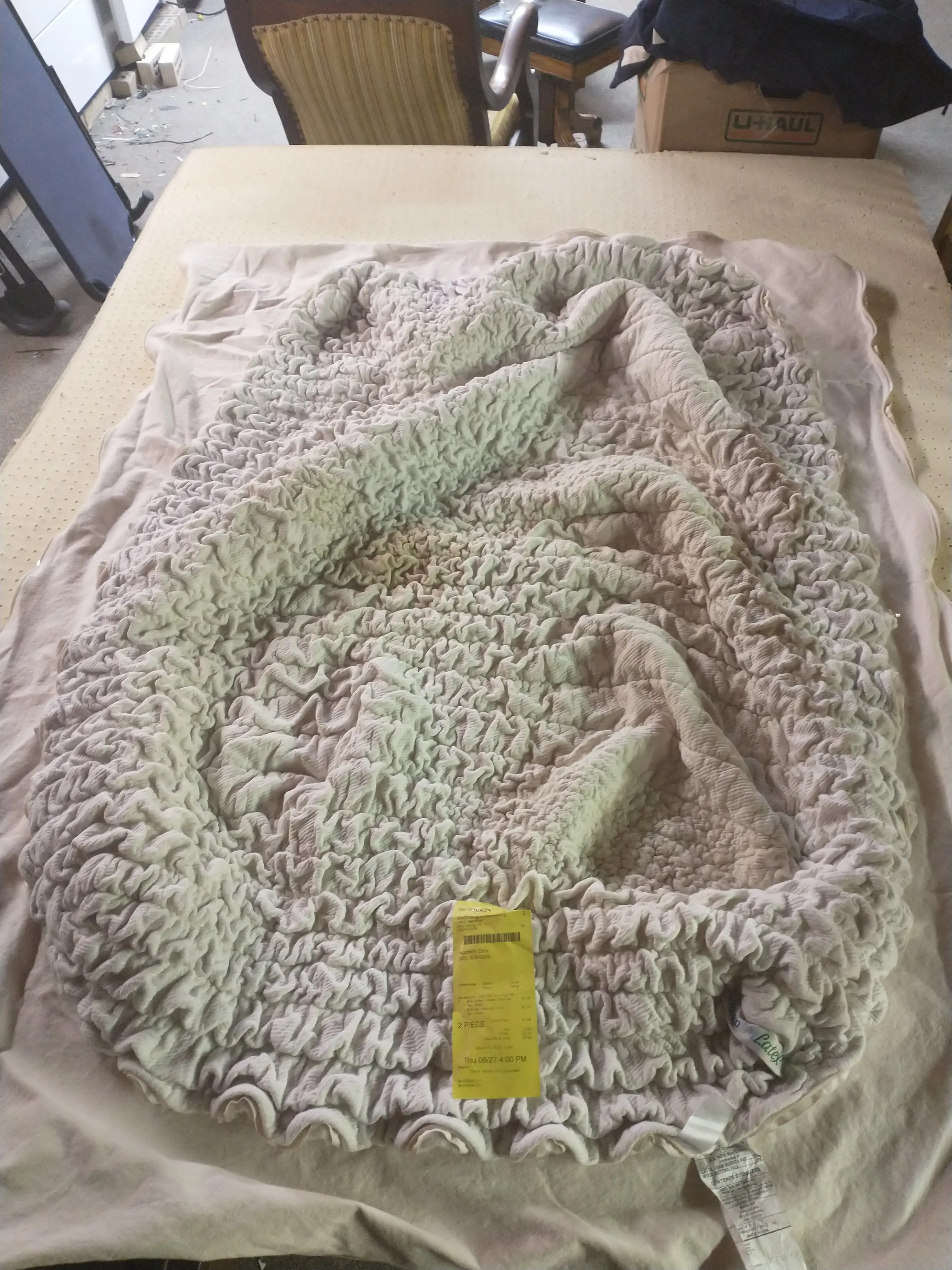 Martinizing thumbnail 5