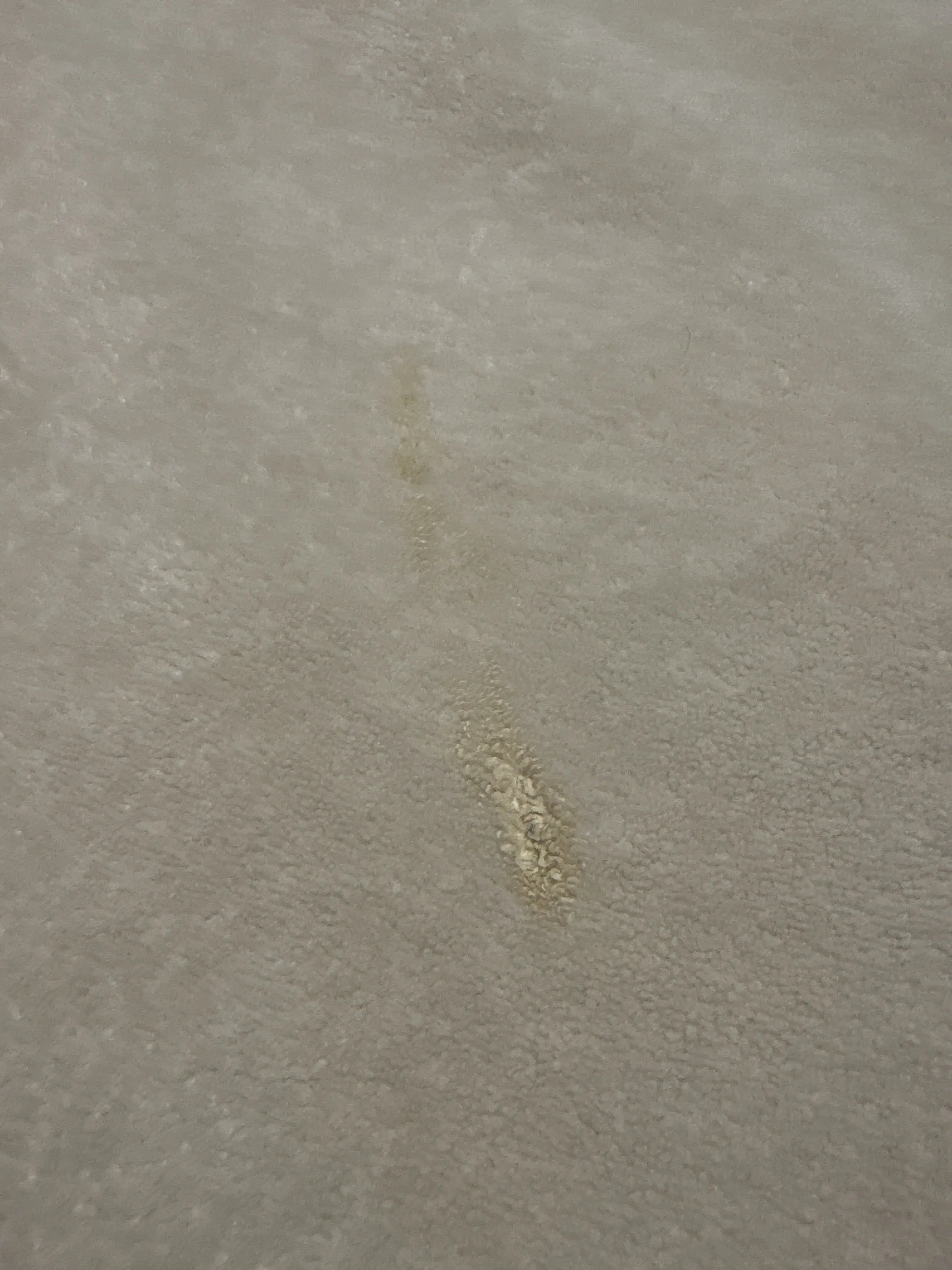 Martinizing Cleaners - Image 4
