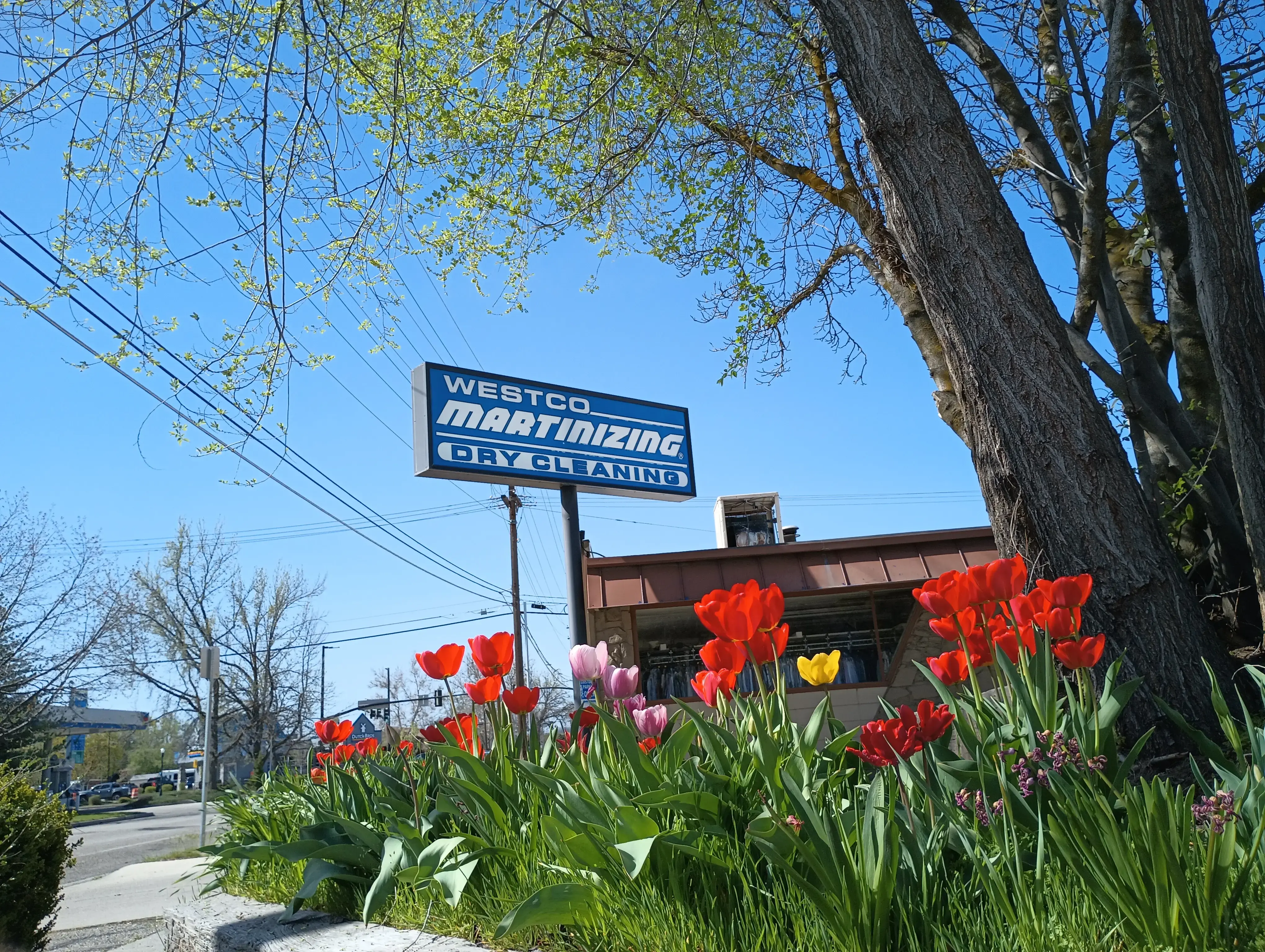 Martinizing Dry Cleaning - Image 2